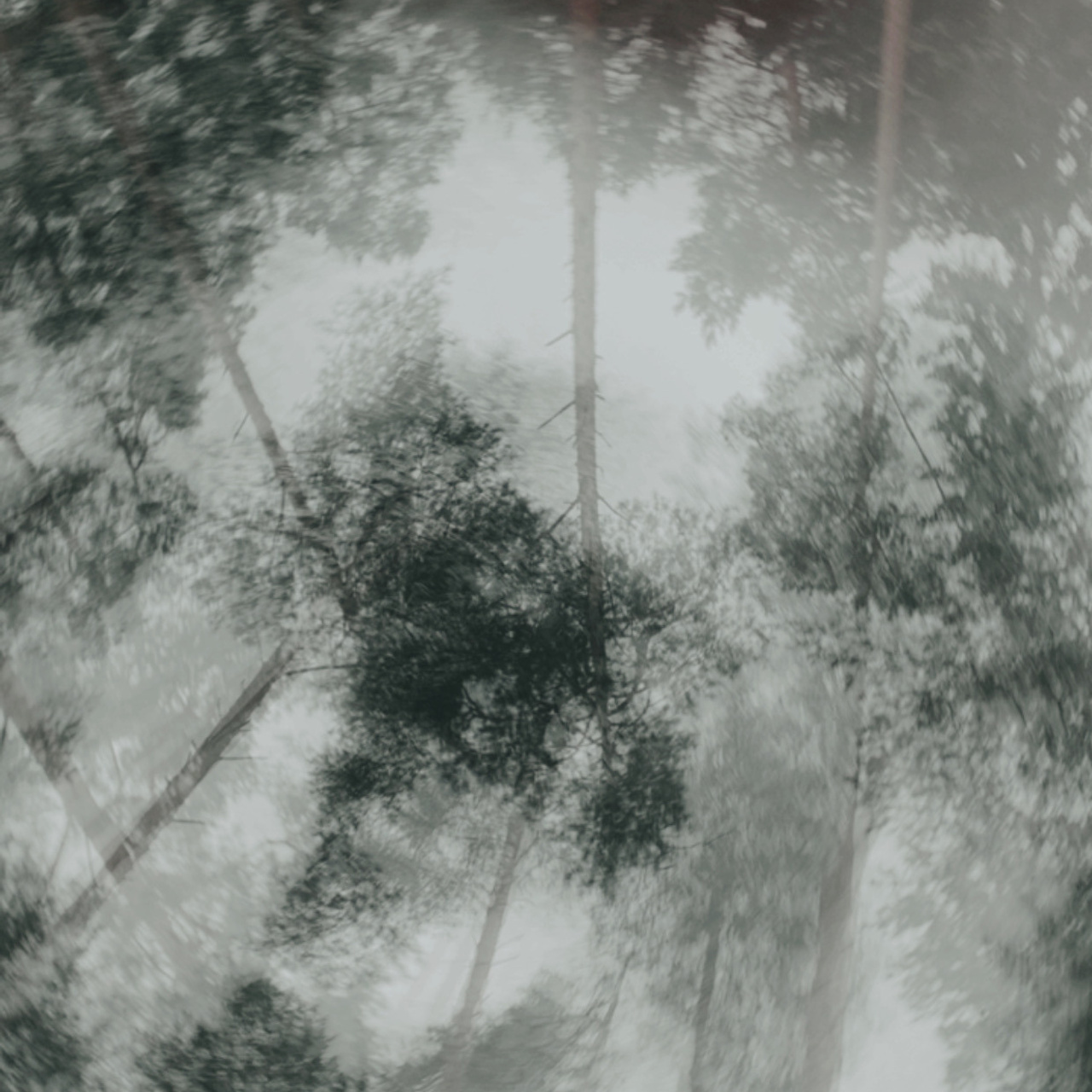 Отзывы. Портретный фотограф в городе Москва — Деляна Мур