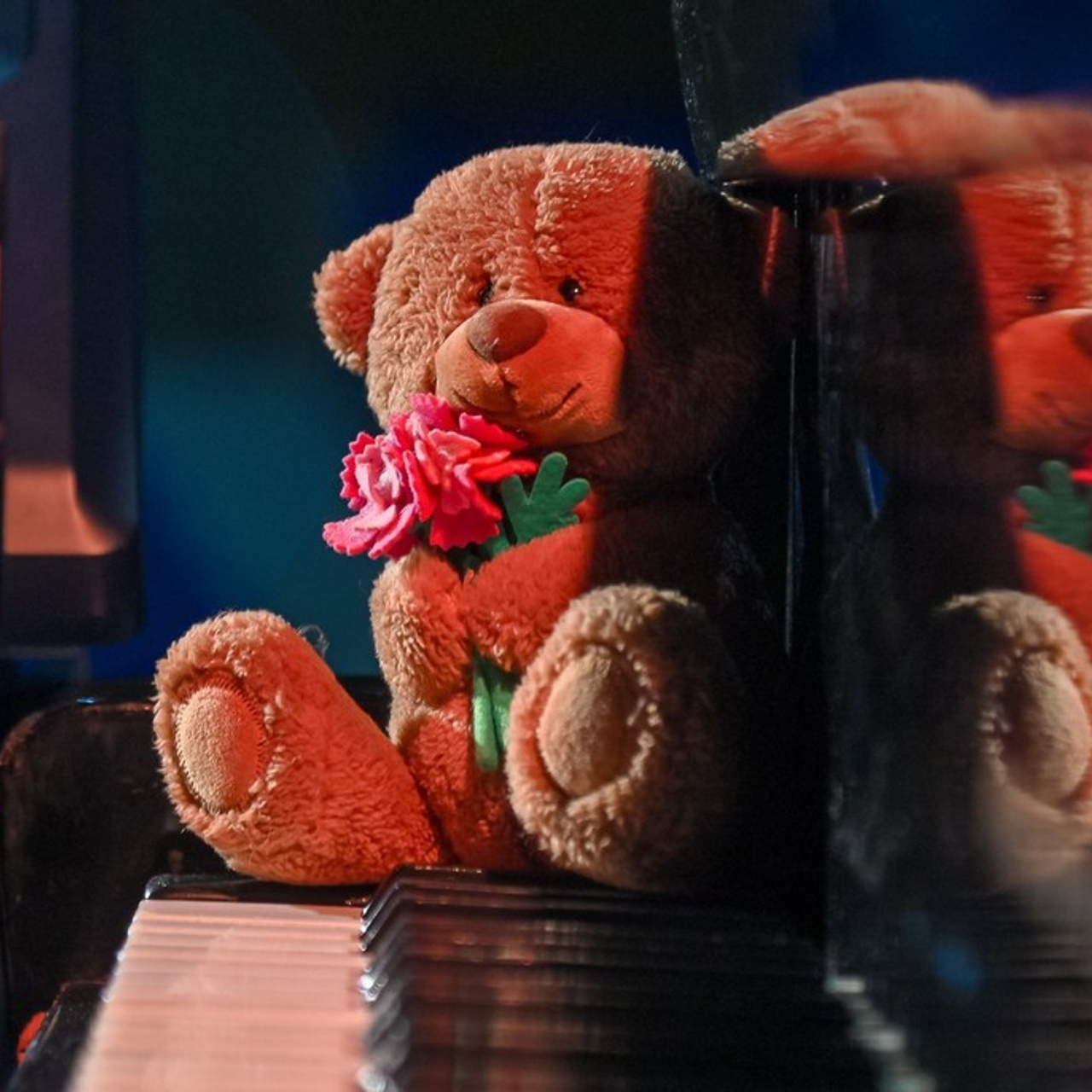 Отзывы. Репортажный профессиональный фотограф-любитель