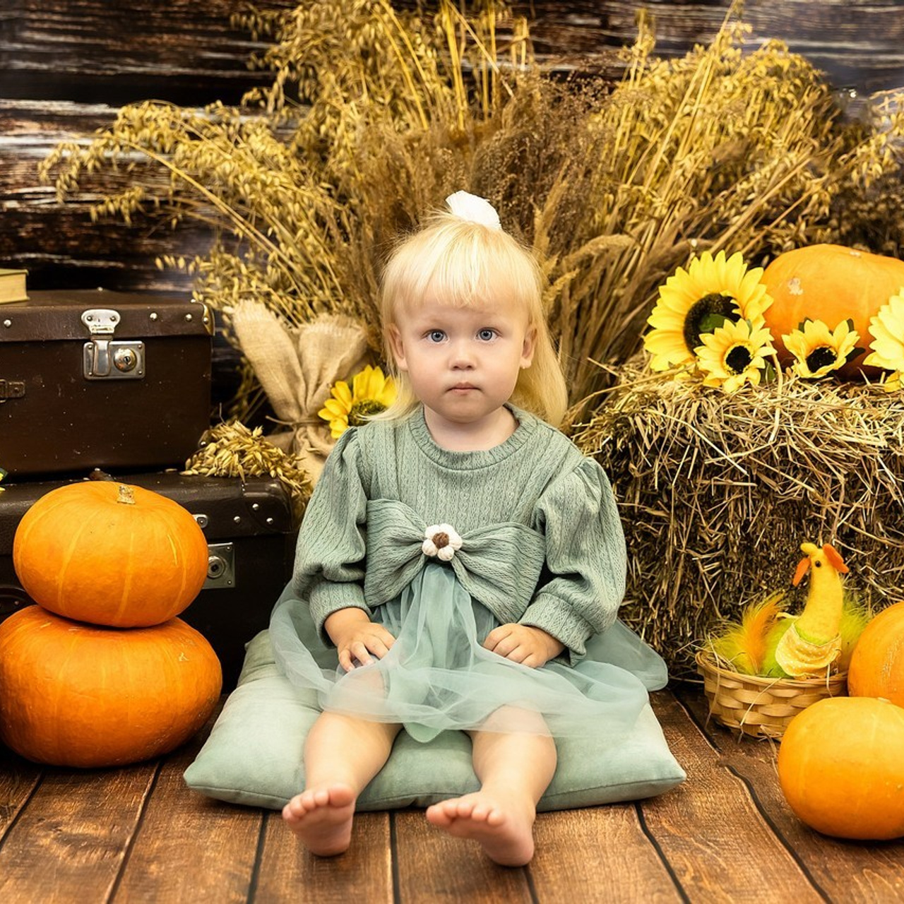 Отзывы. Фотограф семейных, детских, репортажных съёмок г. Уссурийск-Владивосток