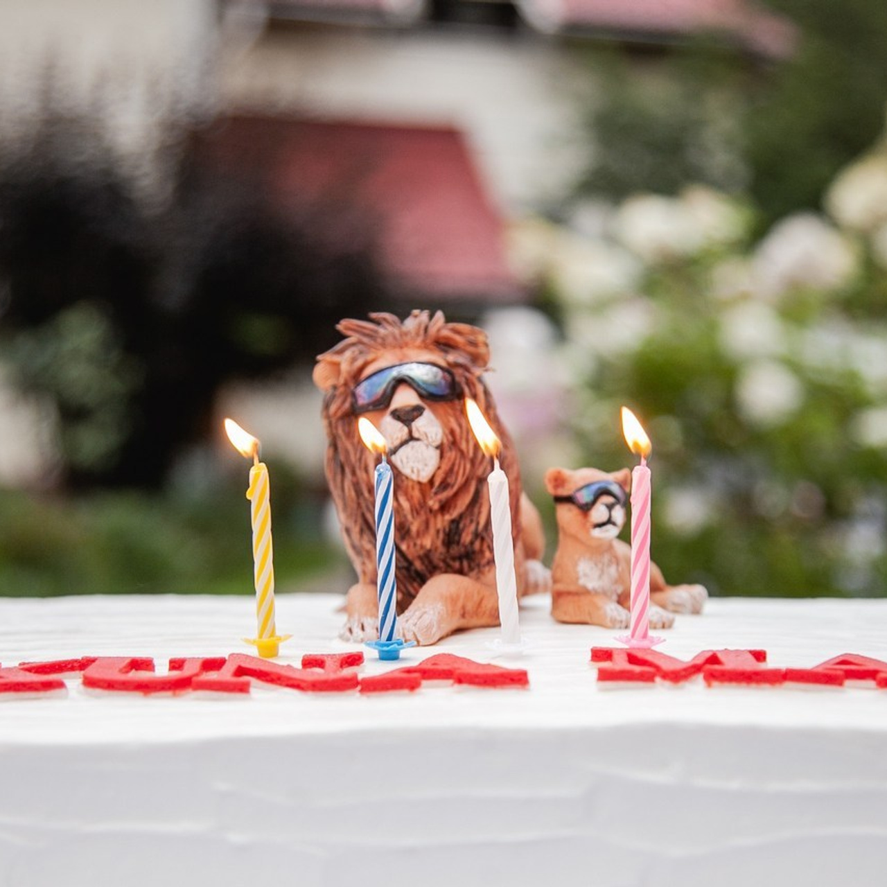 Отзывы. Честные истории о жизни города и его людях