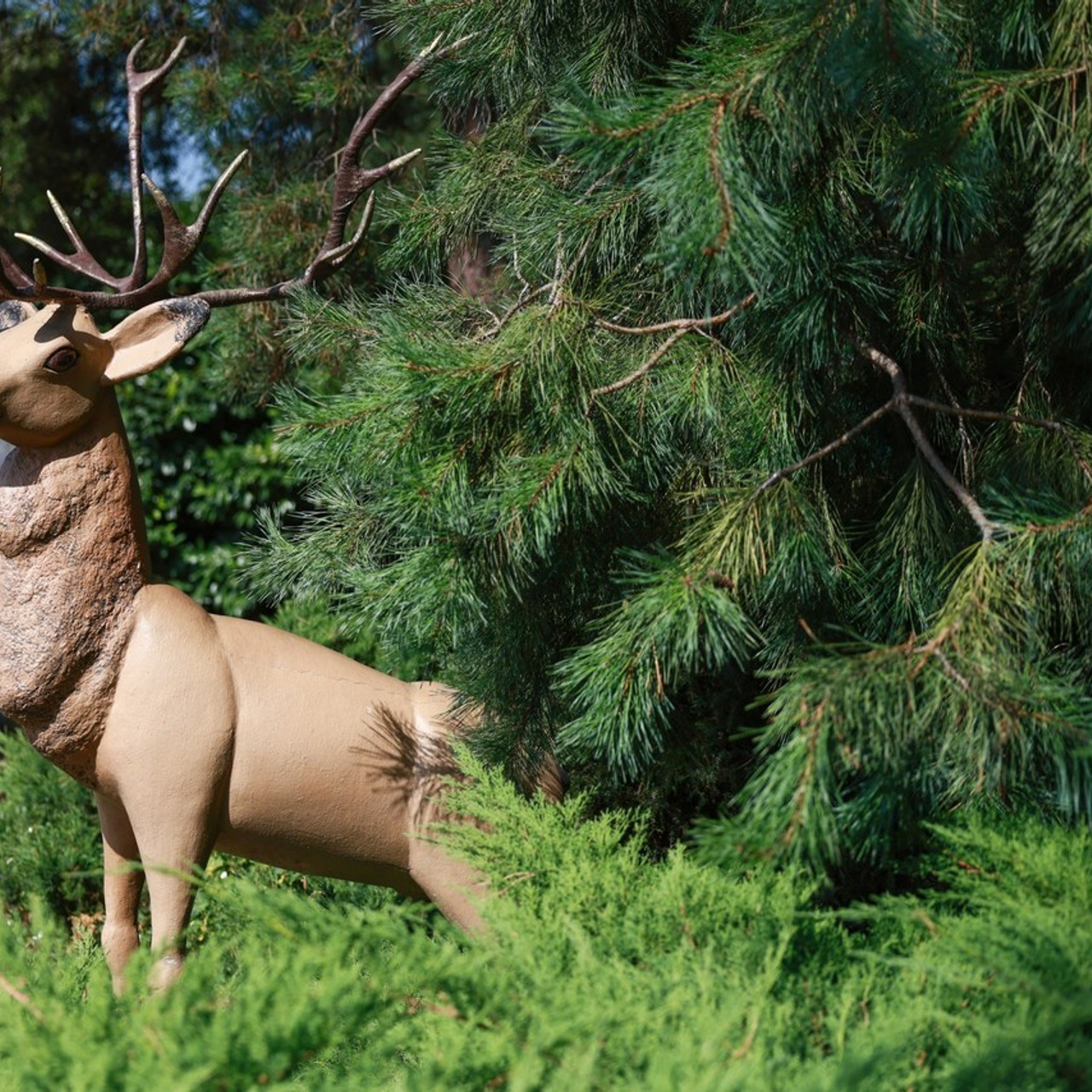 Отзывы. Baevphoto