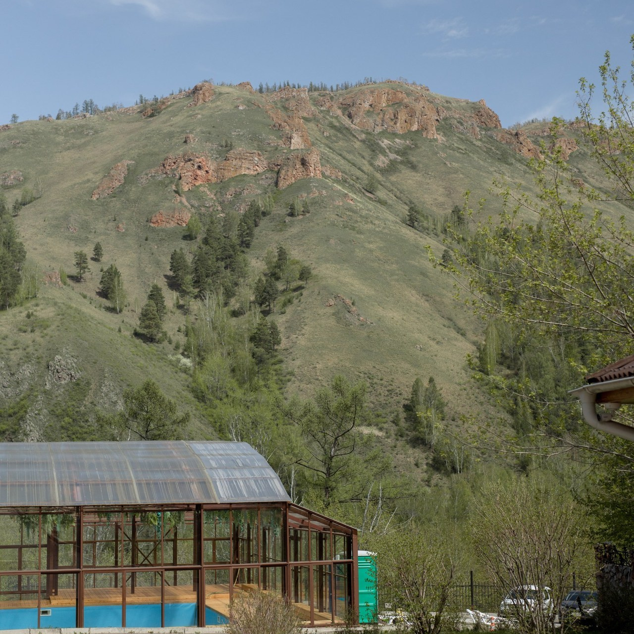 Отзывы. Светлана Сергиенко фотограф Красноярск, Россия, Израиль