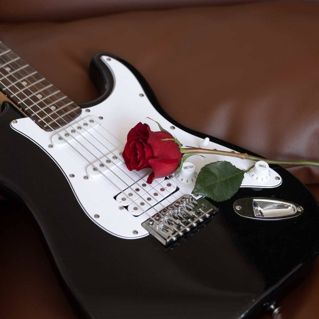 Отзывы. Светлана Сергиенко фотограф Красноярск, Россия, Израиль