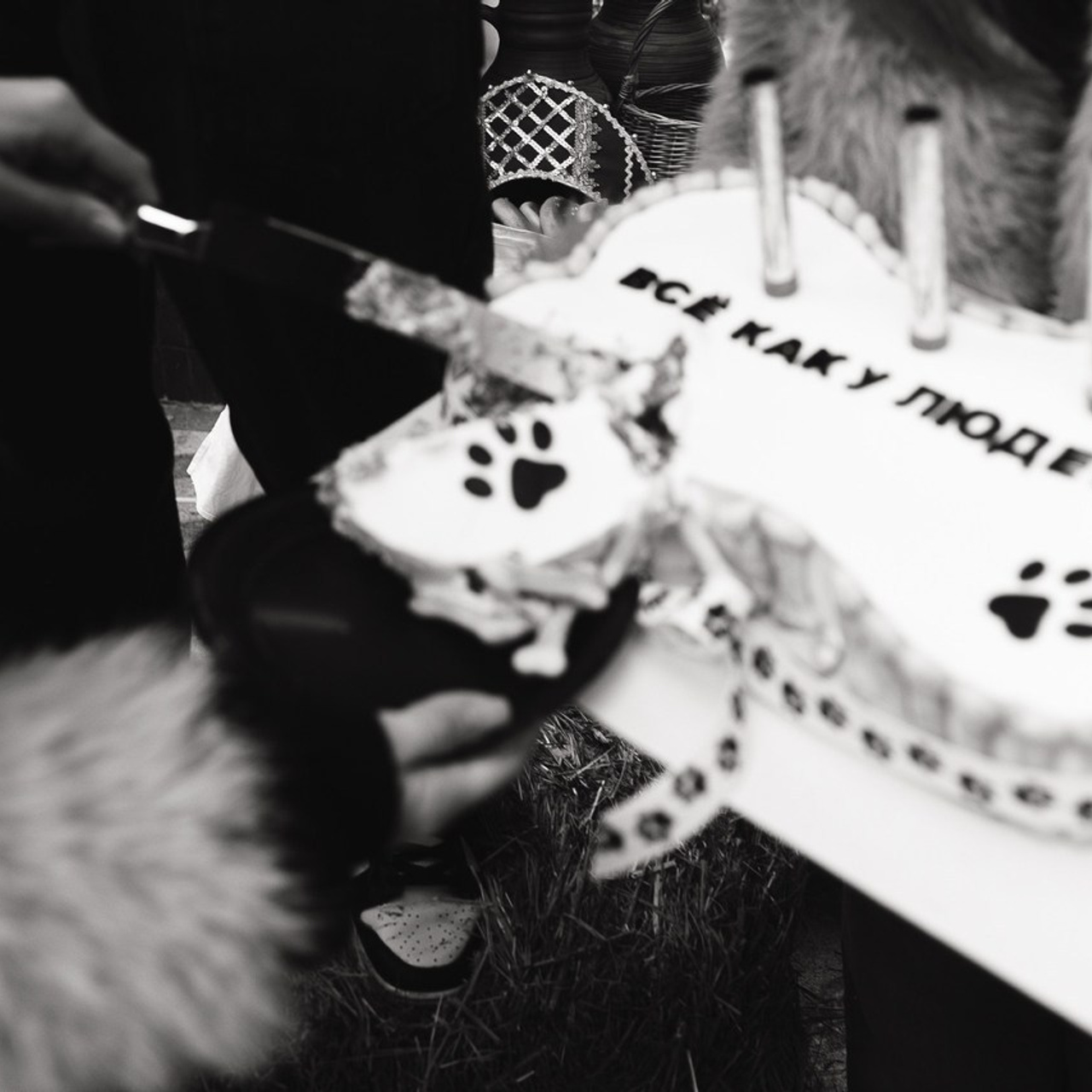 Отзывы. Madina Moldabaeva