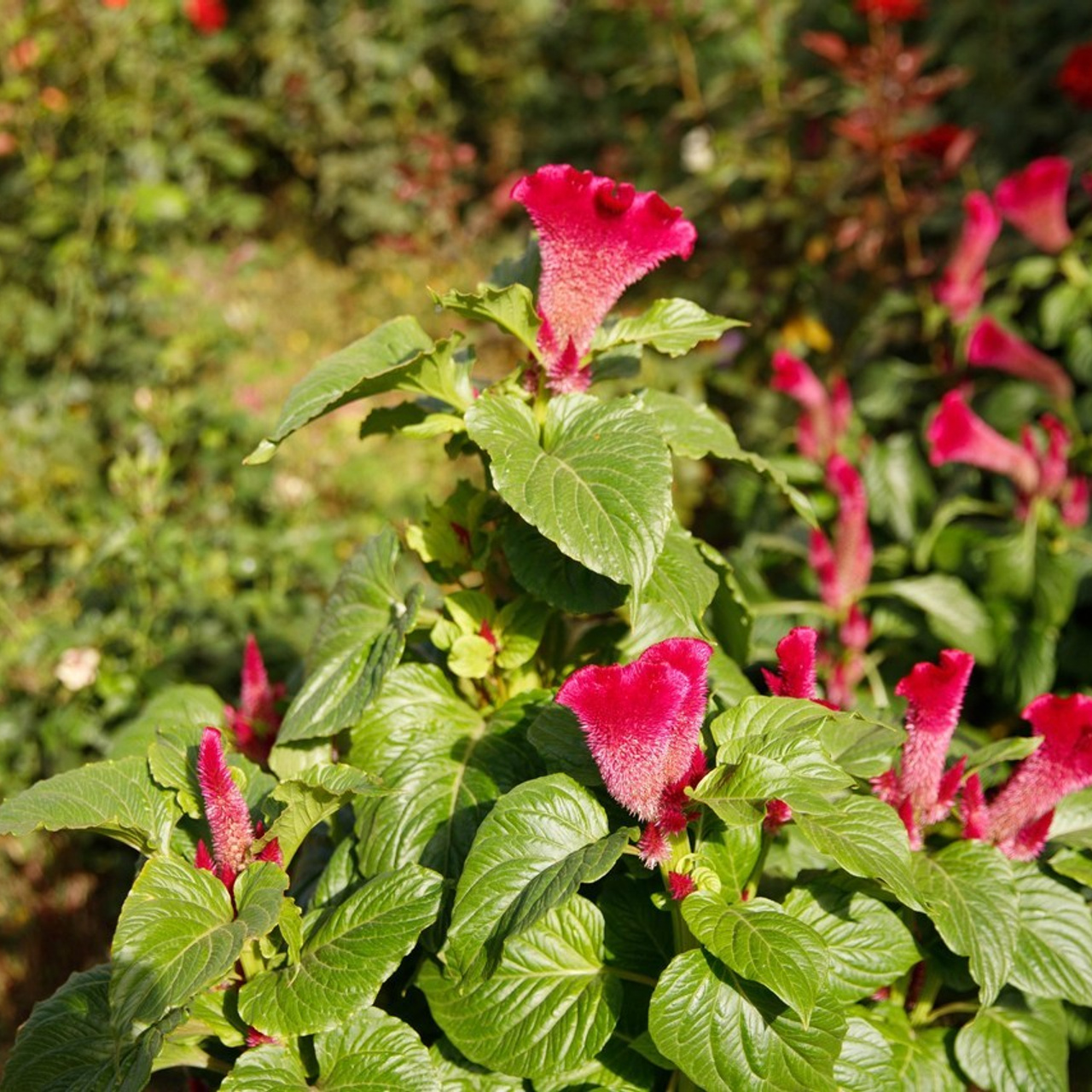 Отзывы. Фотограф новорожденных в Волгограде и Волжском Карина Воробьева