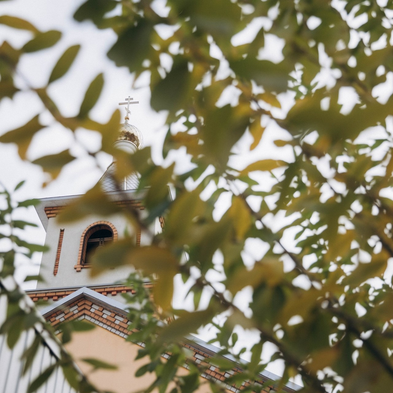 Отзывы. Фотограф новорожденных в Волгограде и Волжском Карина Воробьева