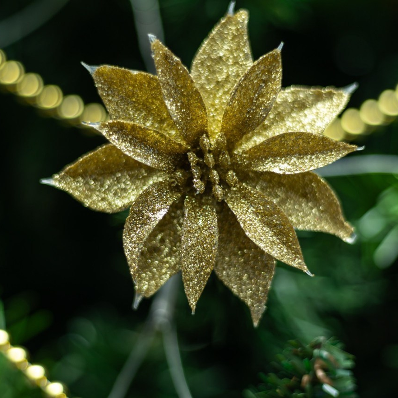 Отзывы. Семейный фотограф Беларуси Юлия Барейша