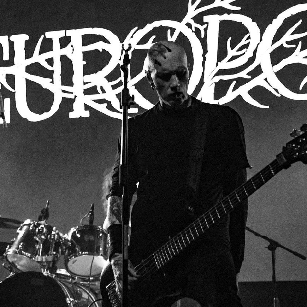 Отзывы. Концертный и репортажный фотограф в Санкт-Петербурге Слава Пахомов