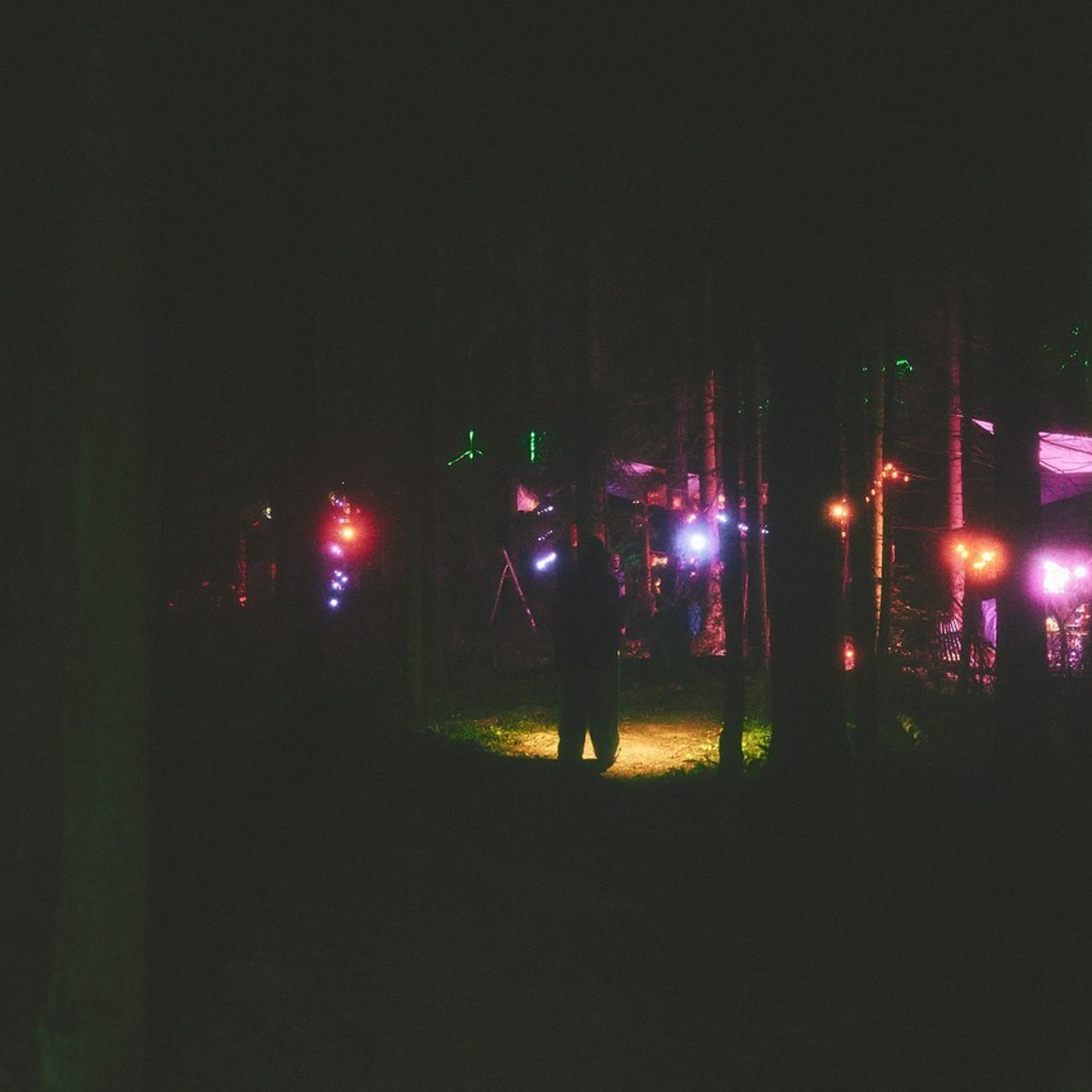 Отзывы. Фотограф и оператор мероприятий, концертов и портретов в городе Москва