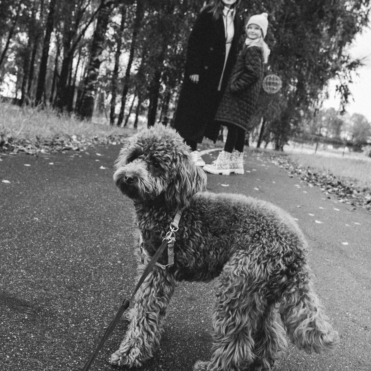 Отзывы. Семейный и свадебный фотограф Тамара Кресс в Минске, Смолевичах