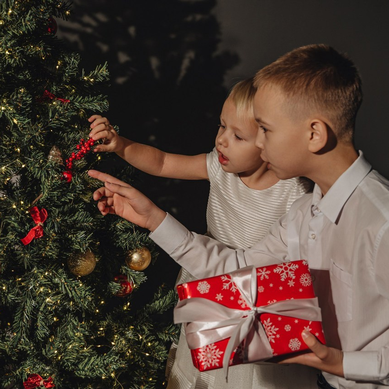 Отзывы о фотографии Шаховская