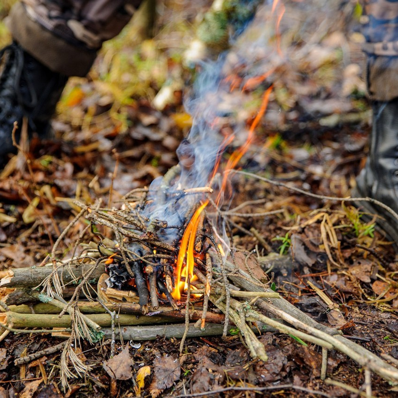 Отзывы. Фотограф Шариков Илья