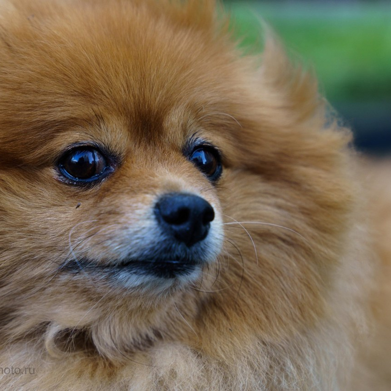 Отзывы клиентов о работе бизнес фотографа в Пензе