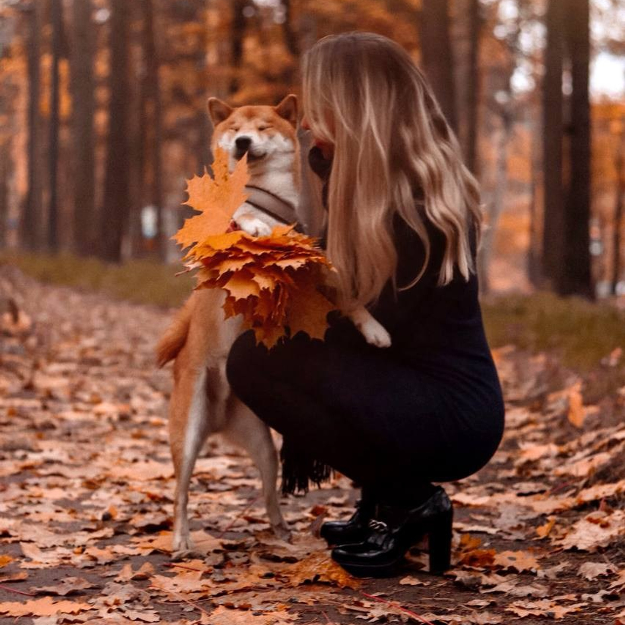 Autumn 2019
