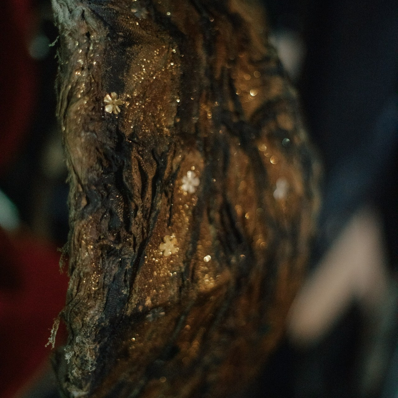 Фотограф Москва Юлия Калай Отзывы. Калай Юлия. Фотограф. Москва