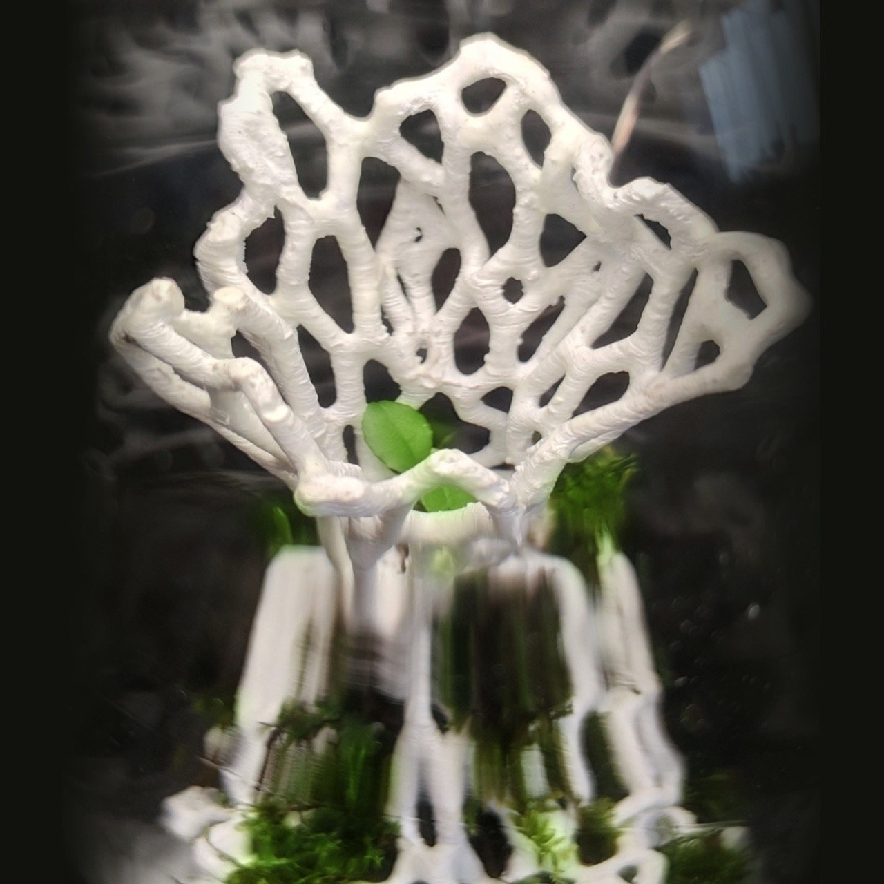 Микрокосм #96. Саша Малышева ● Художник