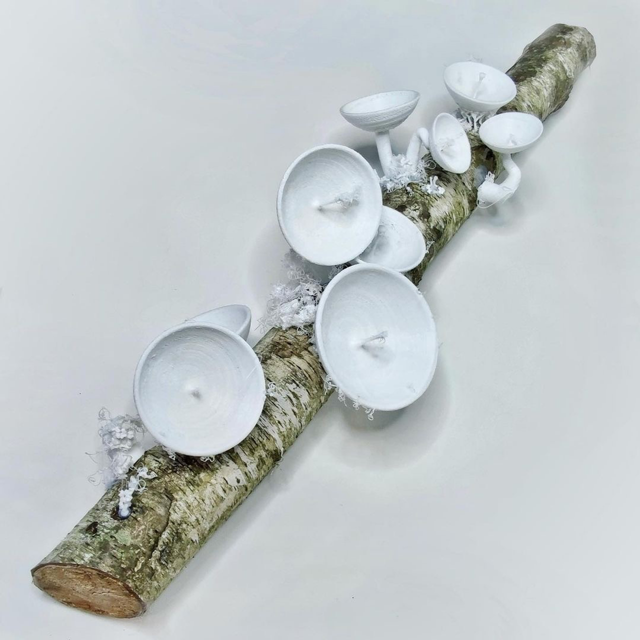 При|родное #79. Саша Малышева ● Художник