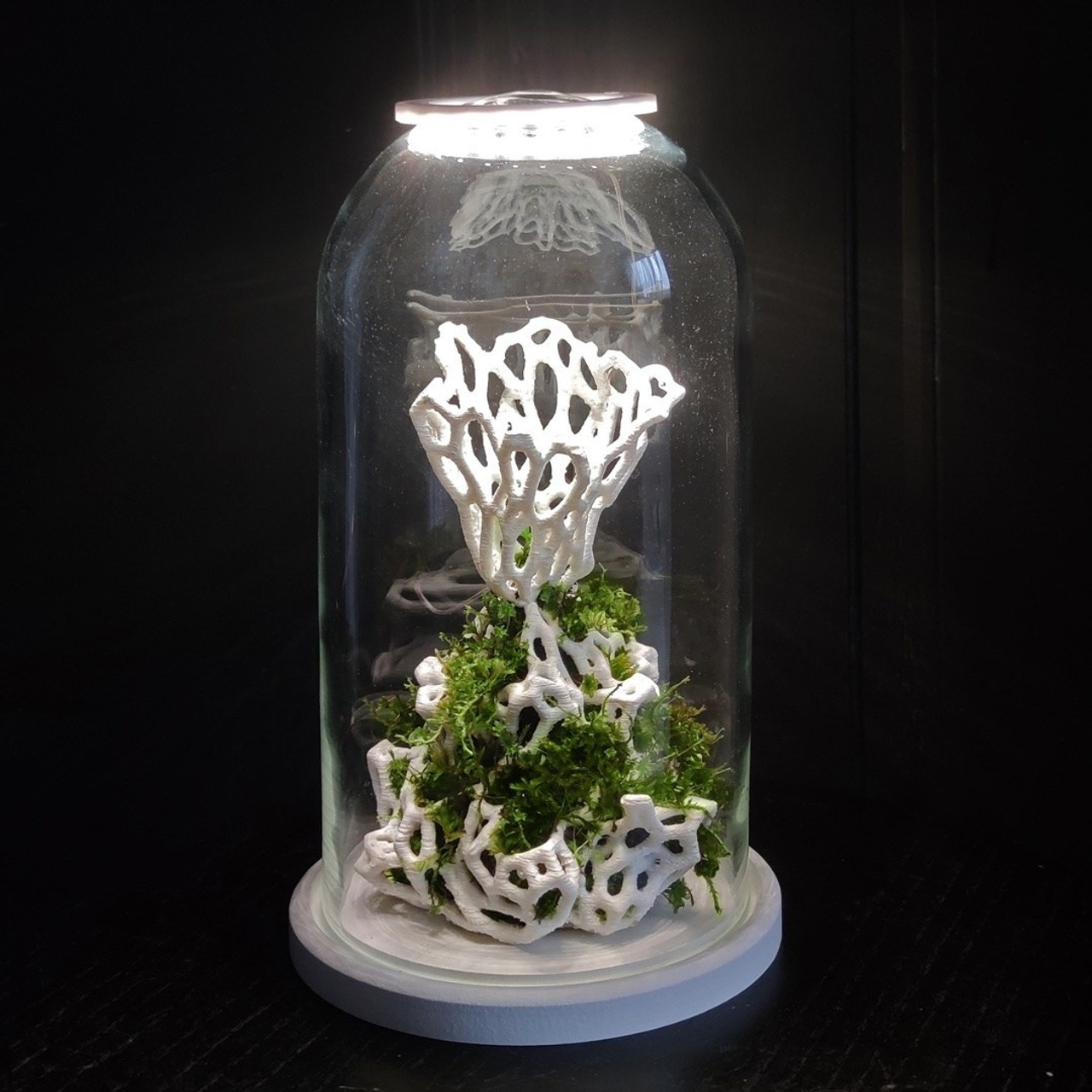 Микрокосм #96. Саша Малышева ● Художник