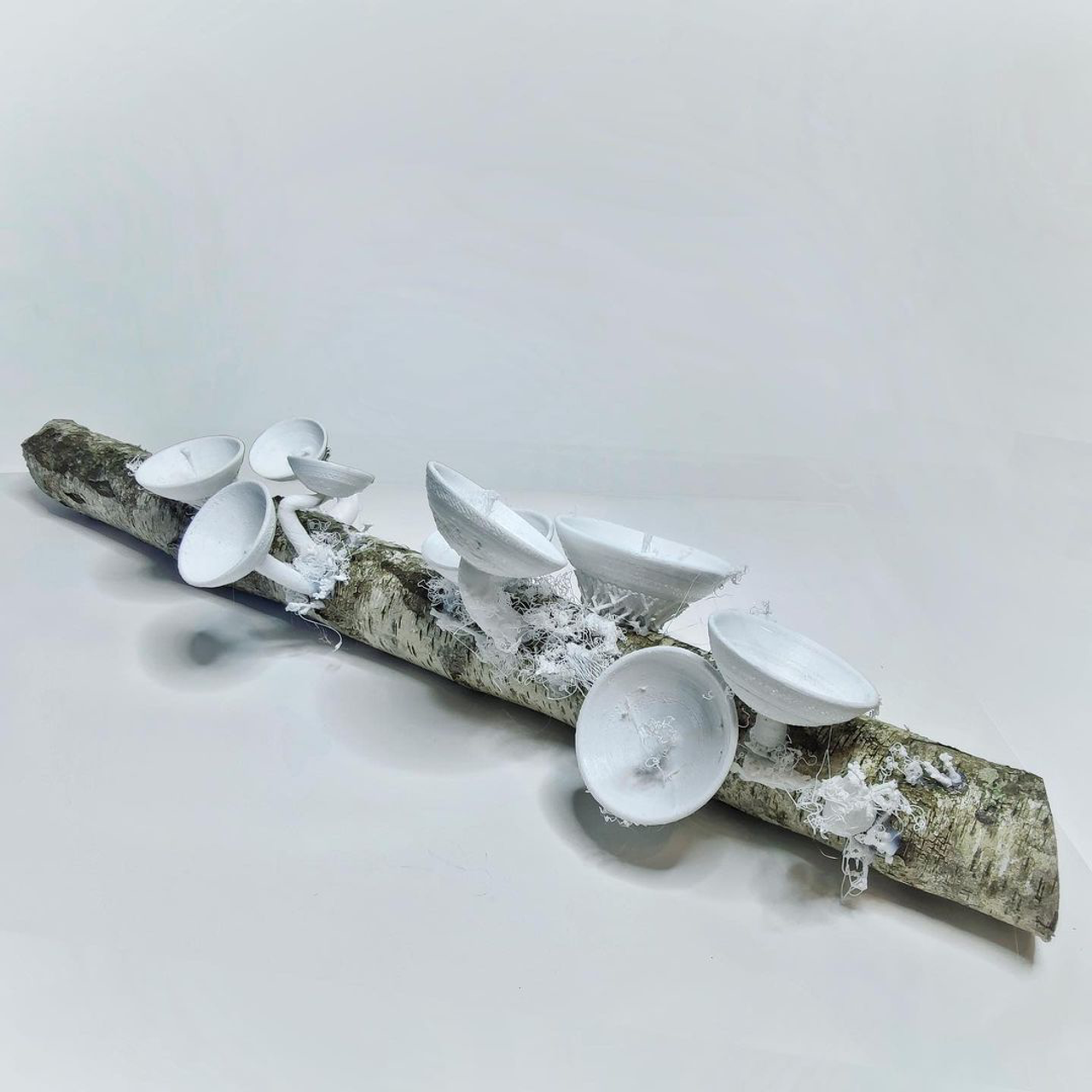 При|родное #79. Саша Малышева ● Художник