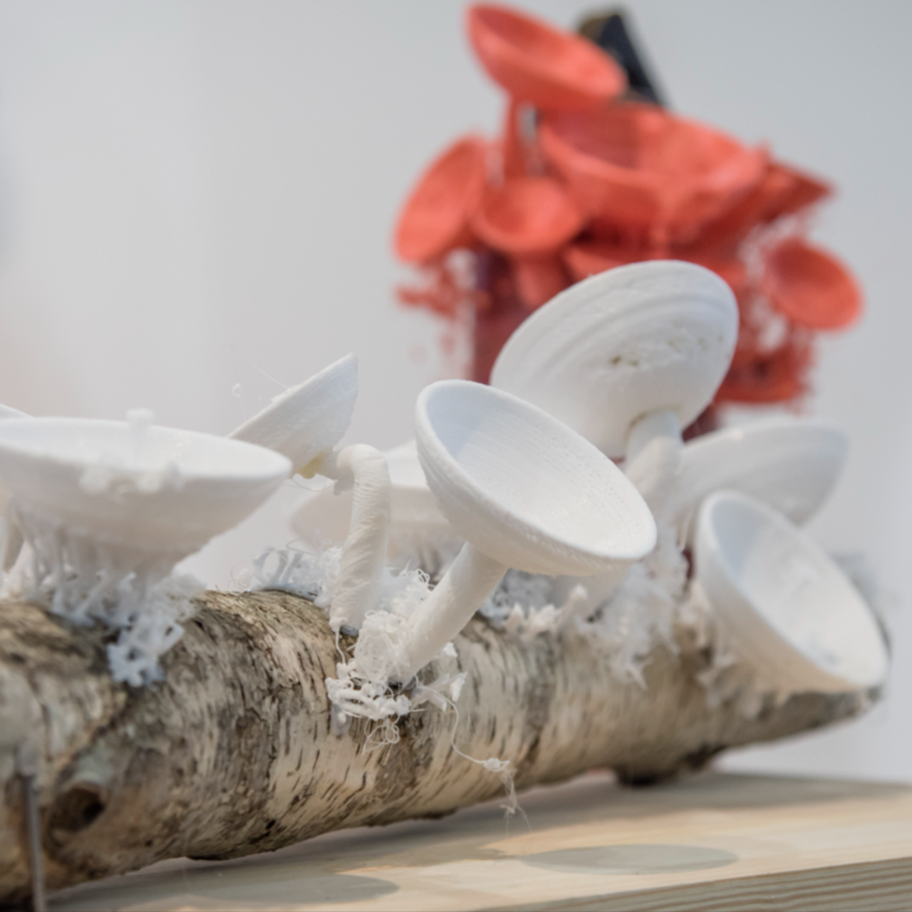 InArt Gallery, 2022. Саша Малышева ● Художник