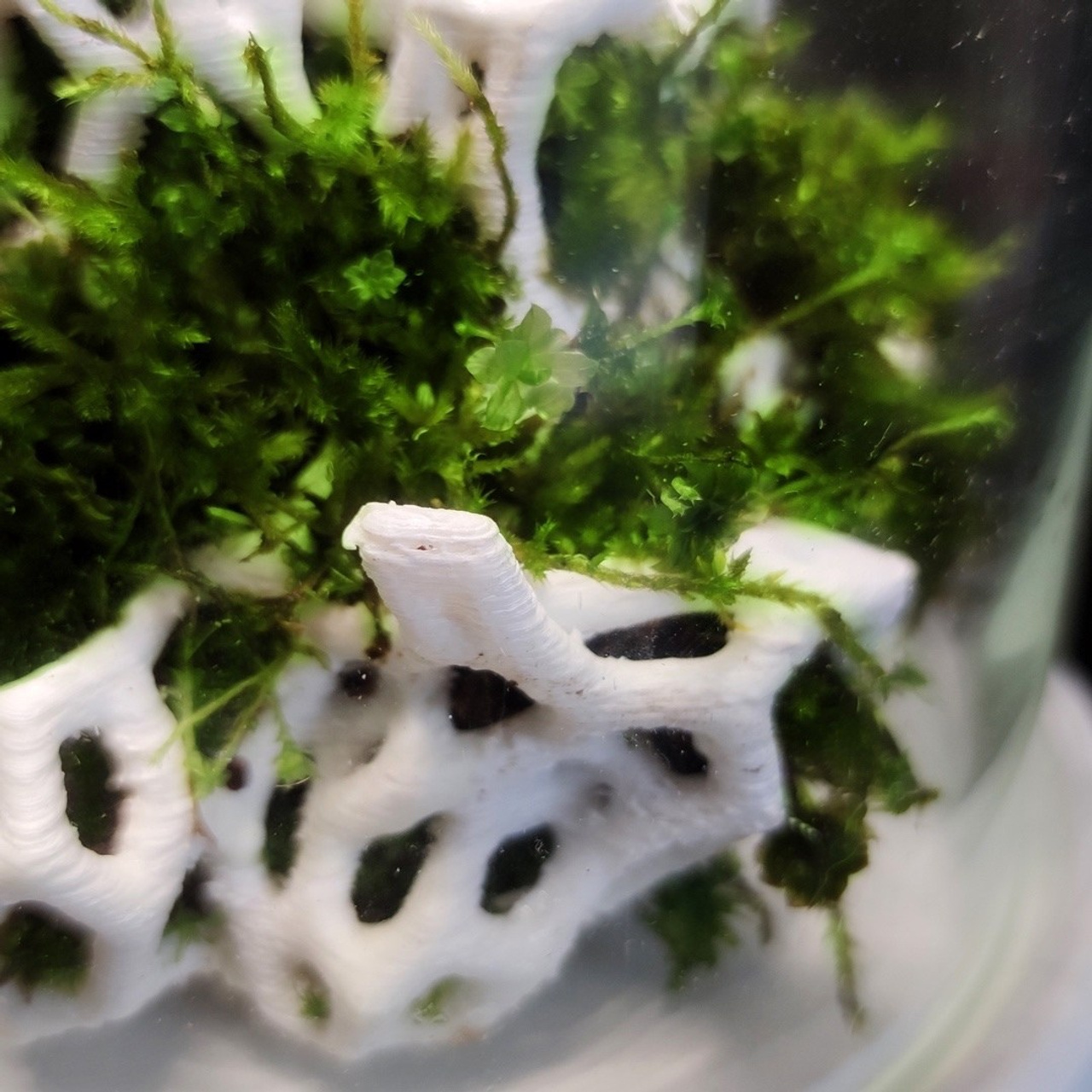 Микрокосм #96. Саша Малышева ● Художник