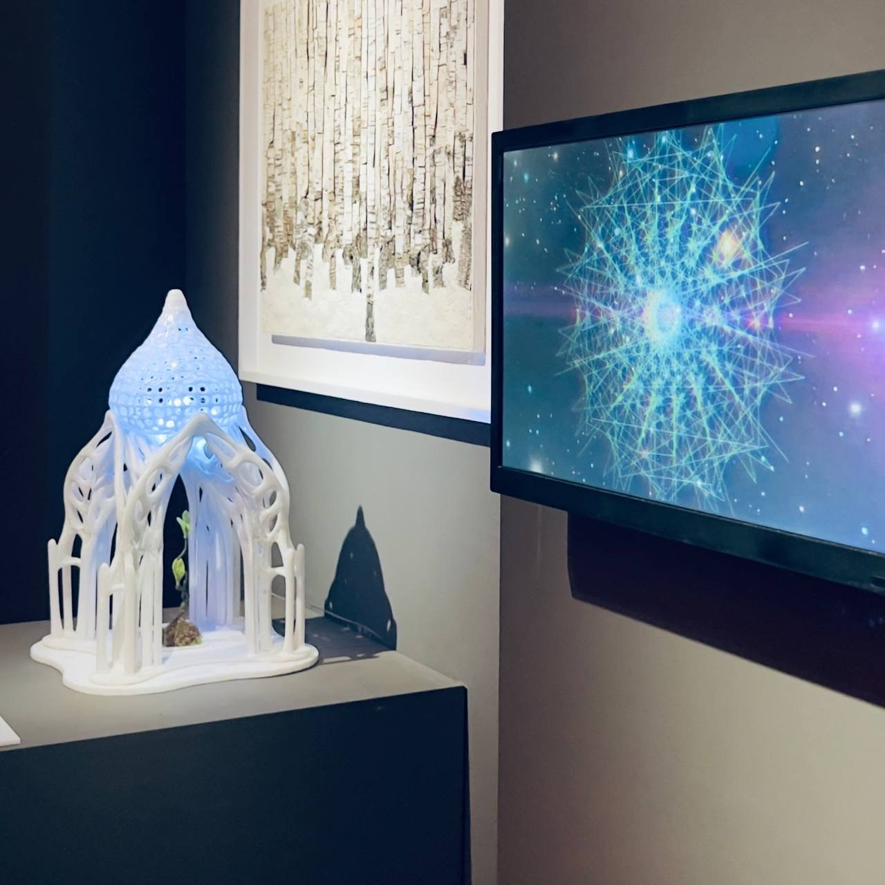 Дыхание берез #100: Аудио-визуальная инсталляция. Саша Малышева ● Художник