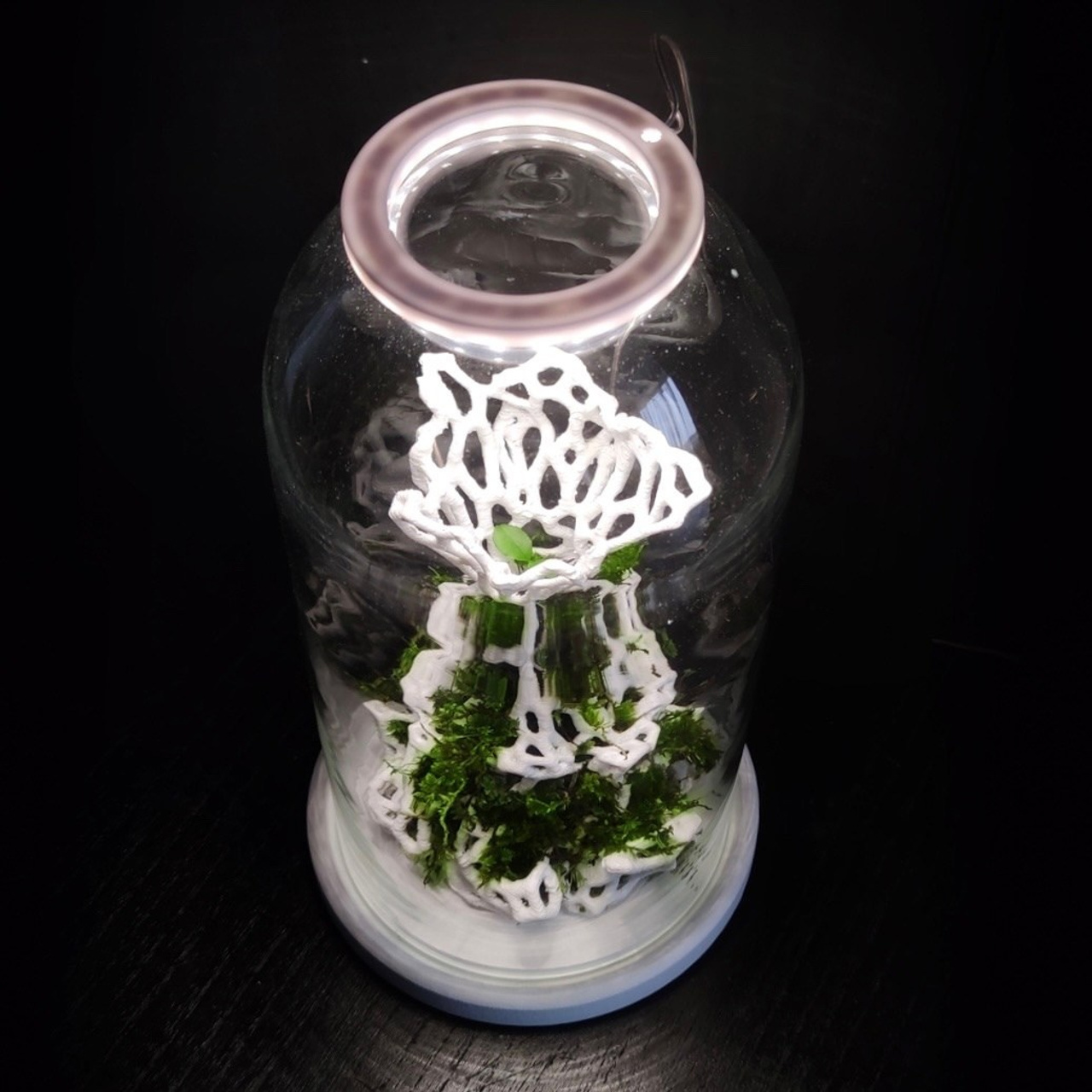 Микрокосм #96. Саша Малышева ● Художник