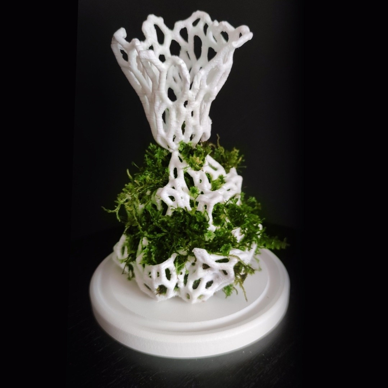 Микрокосм #96. Саша Малышева ● Художник