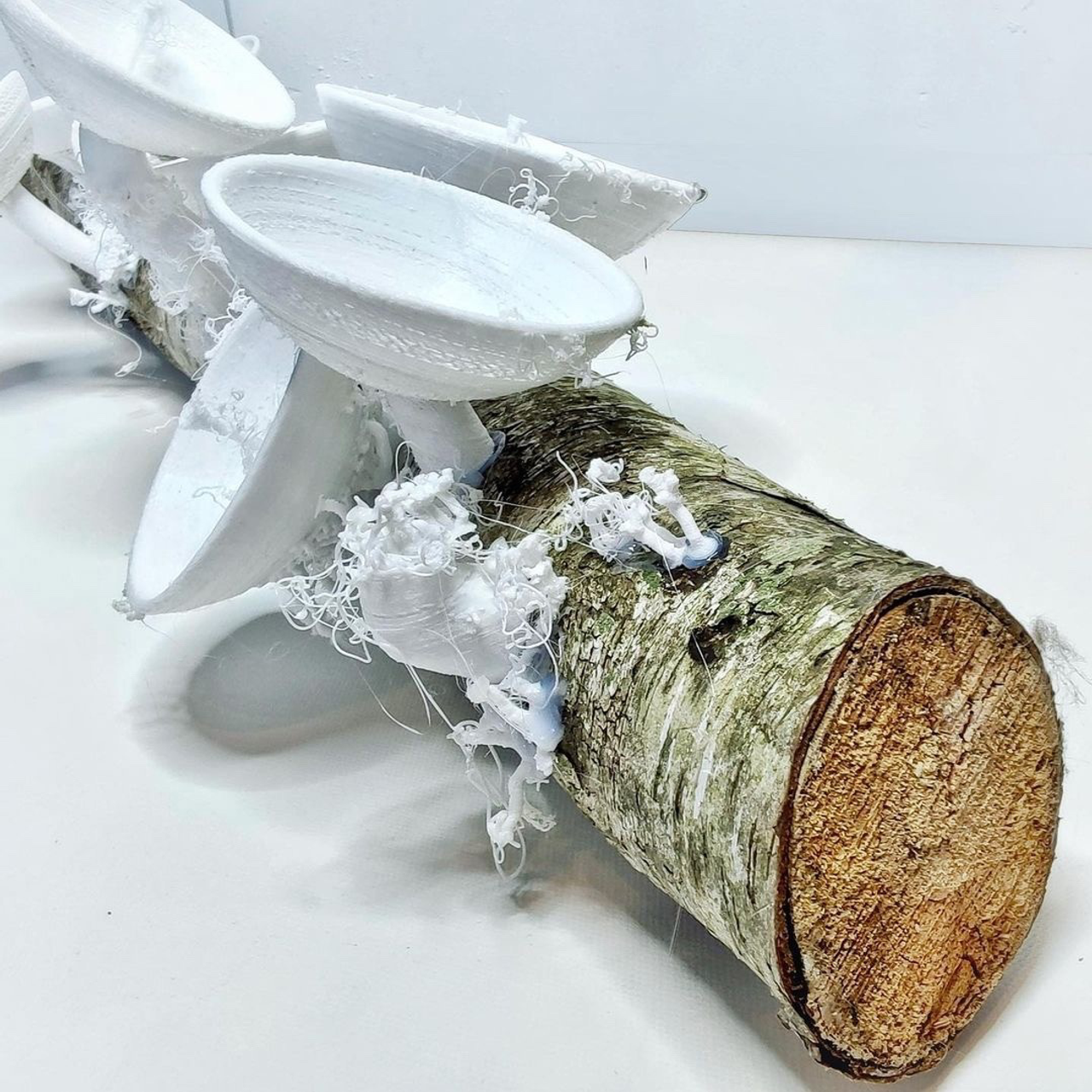 При|родное #79. Саша Малышева ● Художник