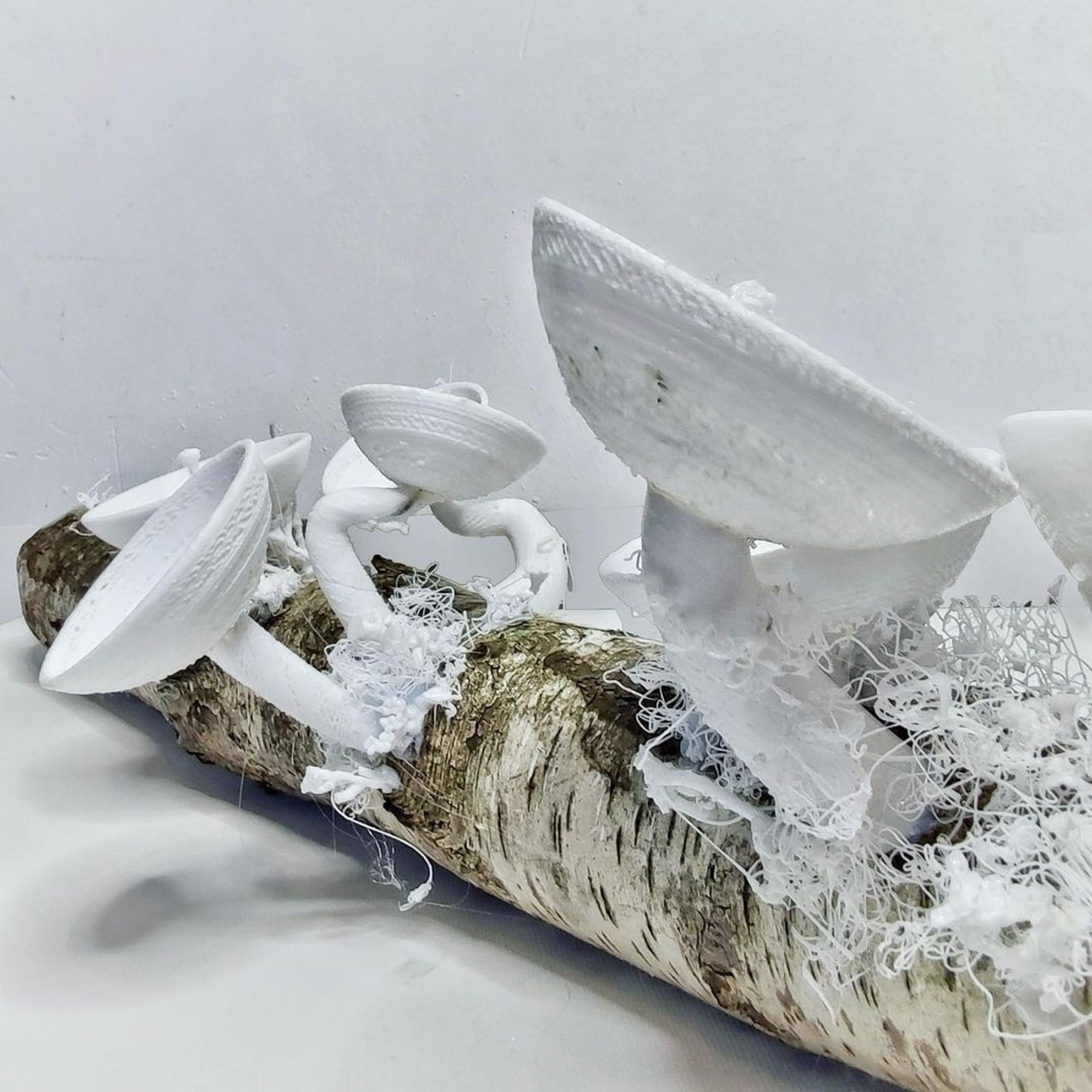 При|родное #79. Саша Малышева ● Художник