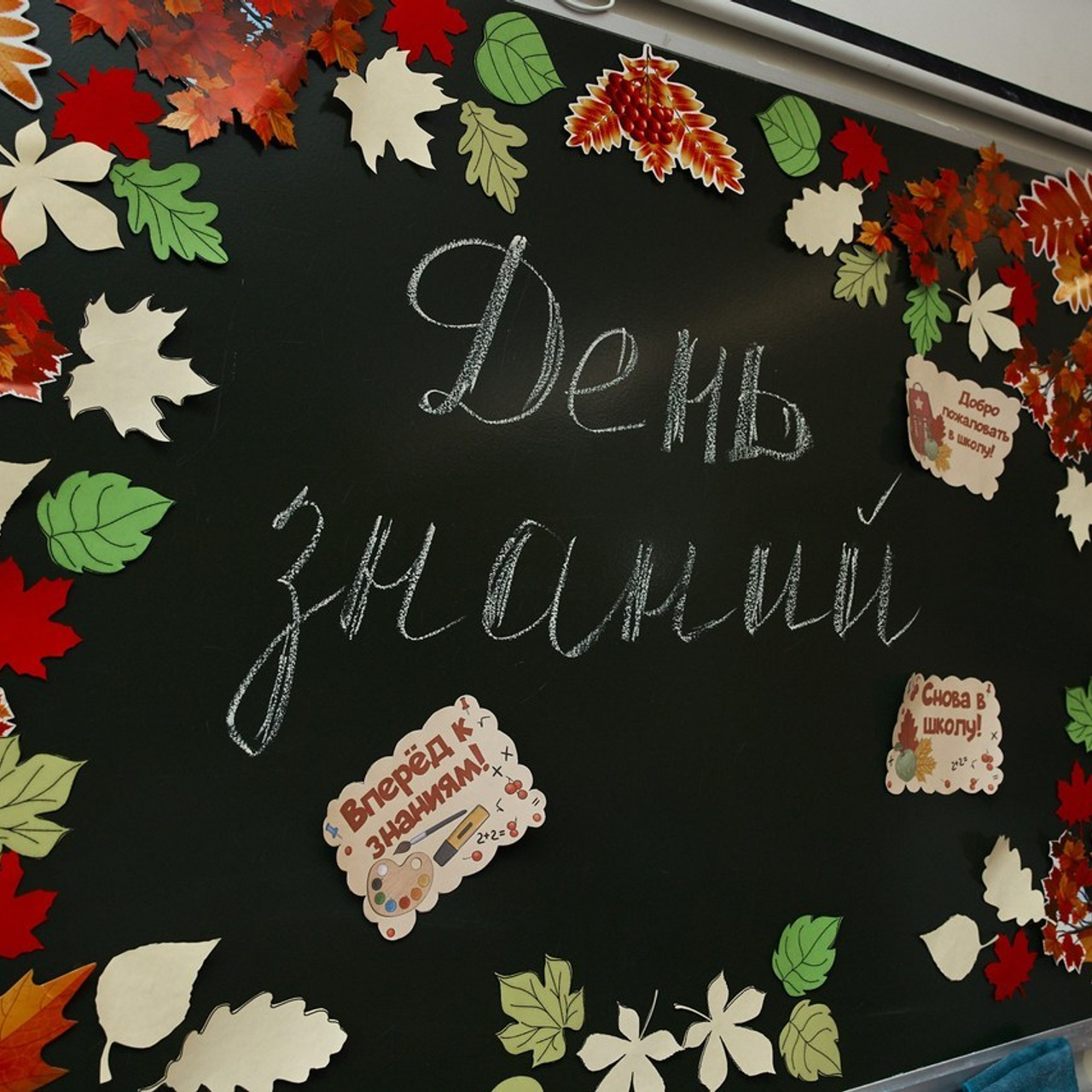 Отзывы. Выпускные альбомы в Рыбинске и Ярославле