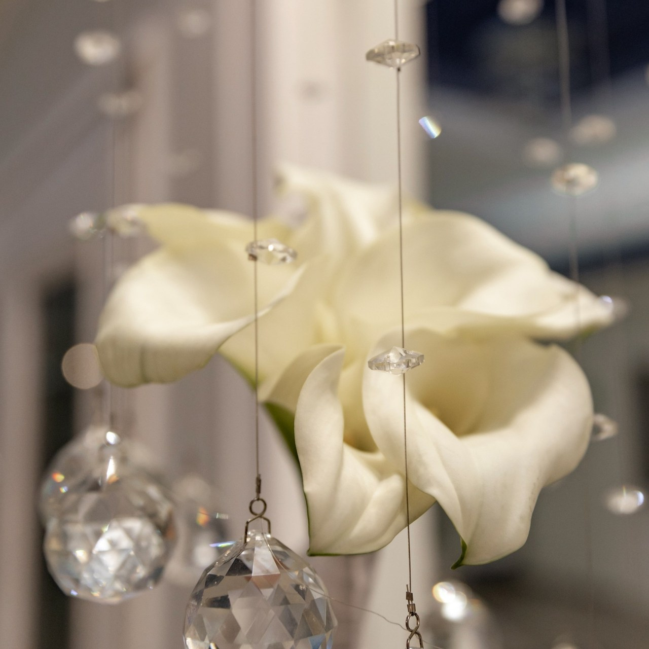 Отзывы невест о свадебной съемке. Свадебный и портретный фотограф в Санкт-Петербурге Надежда Чечулина