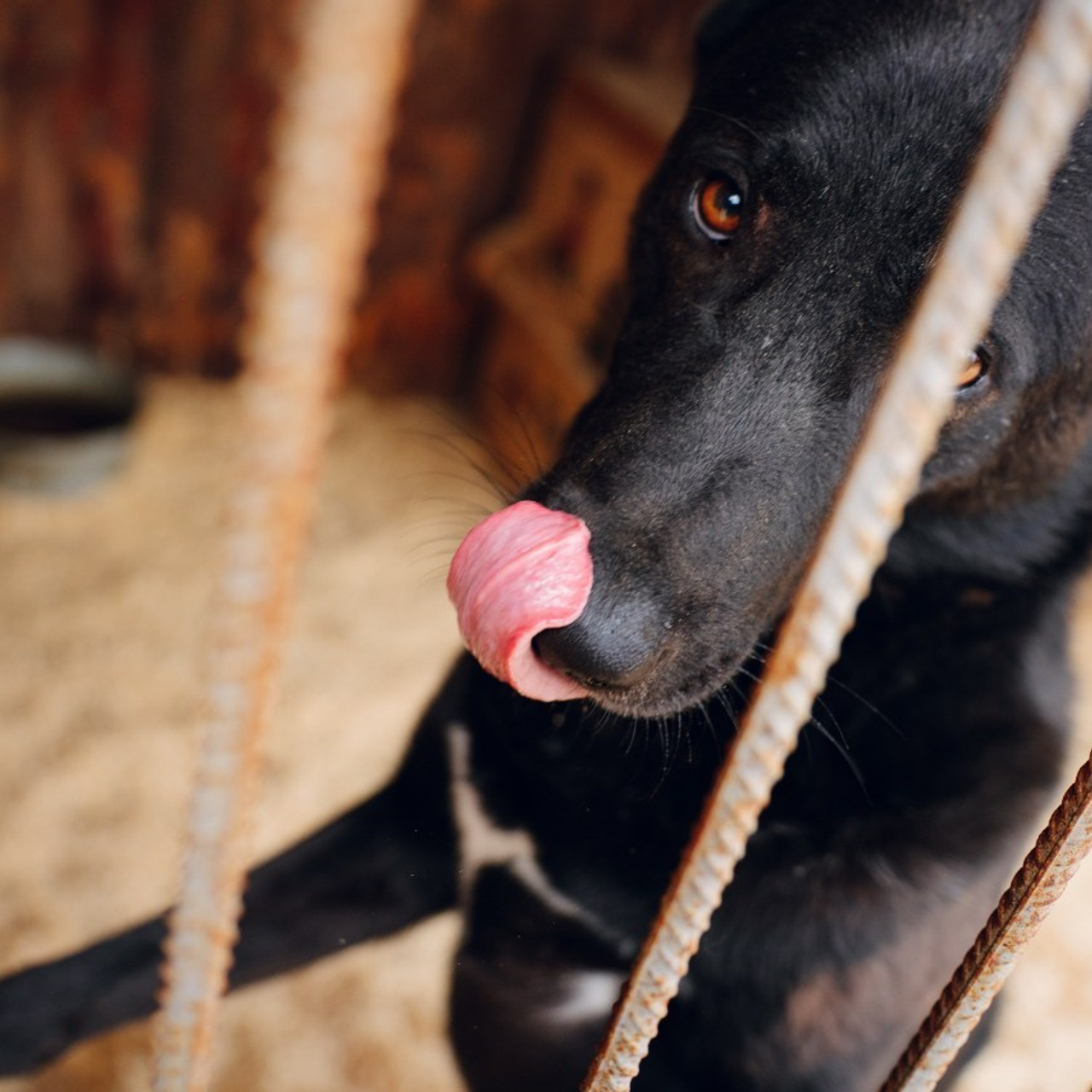 Отзывы. Репортажный фотограф Варвара Бочкарева
