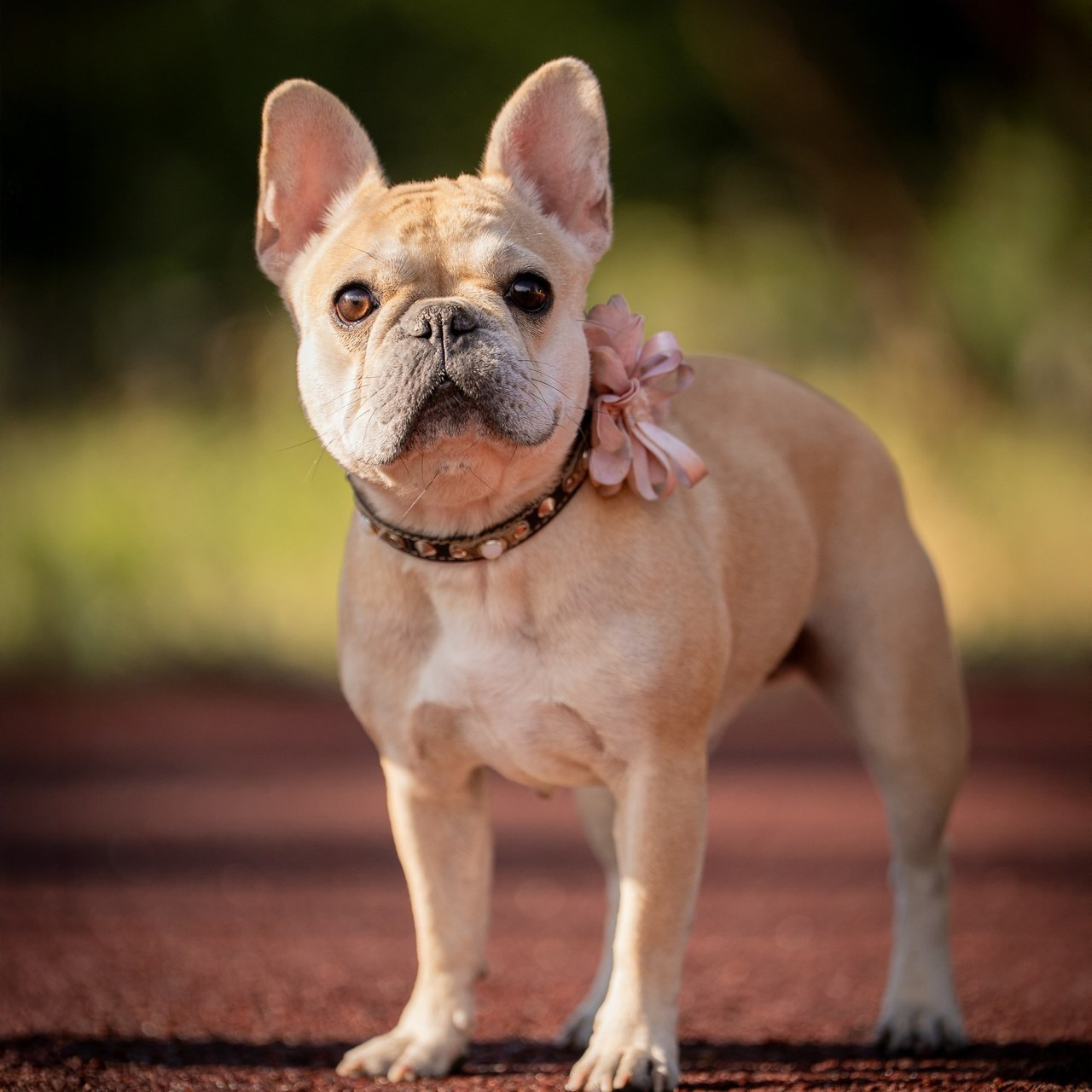 Отзывы о фотографе Руслане Насырове из города Павлодар. Портретный фотограф в Павлодаре Руслан Насыров