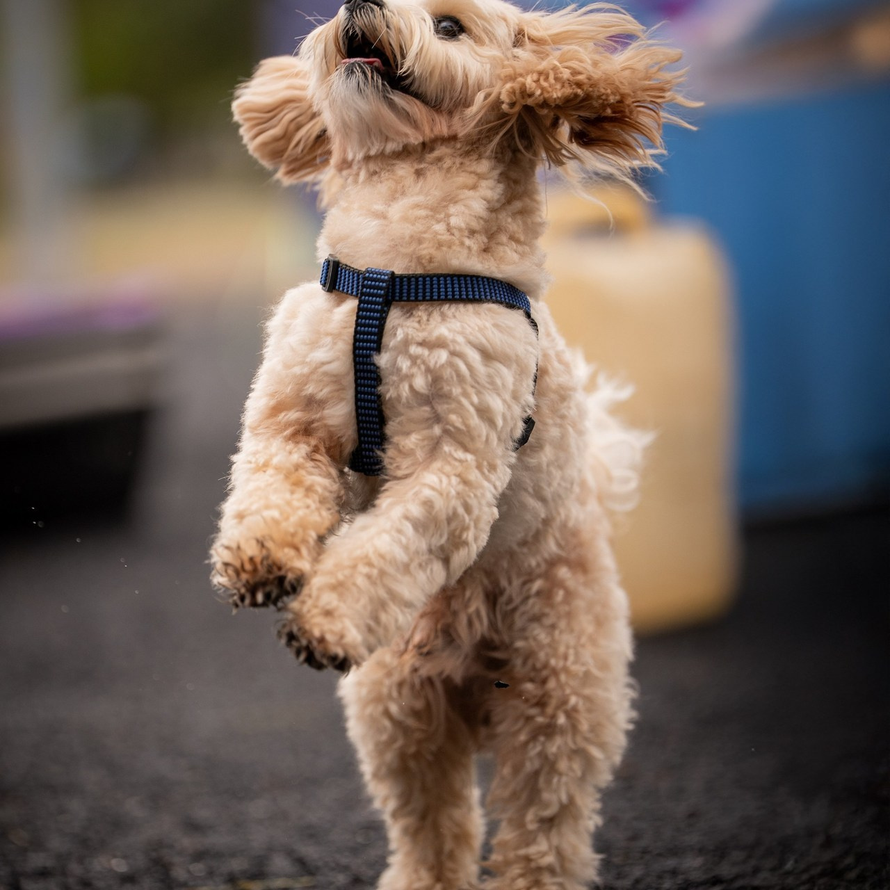 Отзывы о фотографе Руслане Насырове из города Павлодар. Портретный фотограф в Павлодаре Руслан Насыров