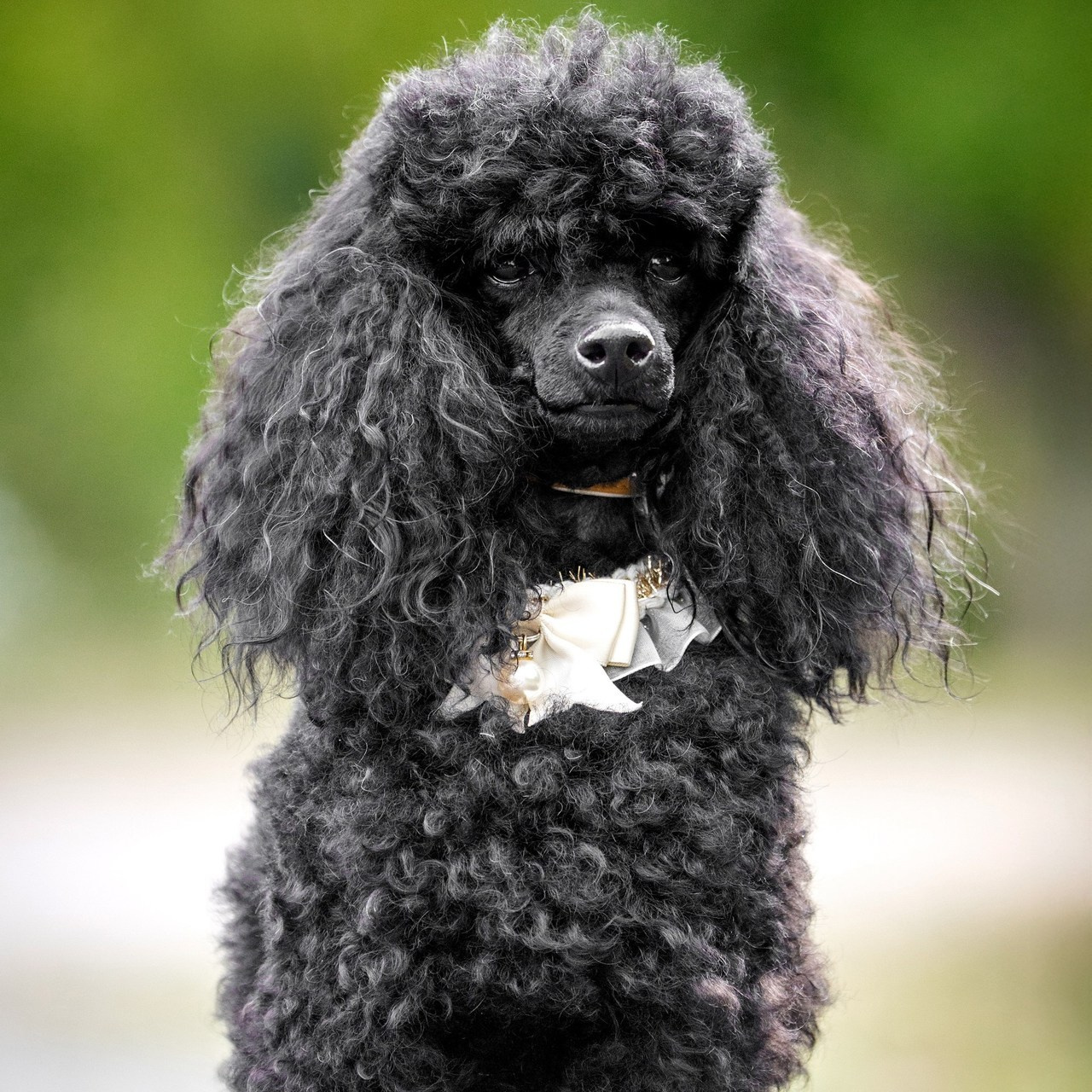 Отзывы о фотографе Руслане Насырове из города Павлодар. Портретный фотограф в Павлодаре Руслан Насыров