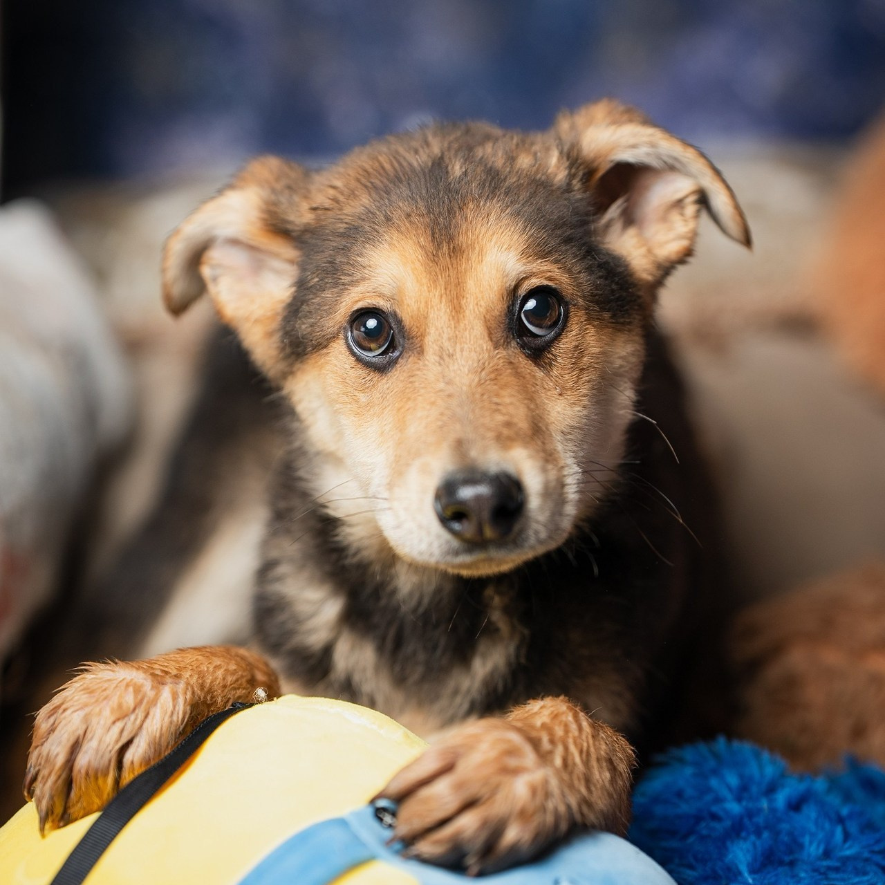 Отзывы о фотографе Руслане Насырове из города Павлодар. Портретный фотограф в Павлодаре Руслан Насыров