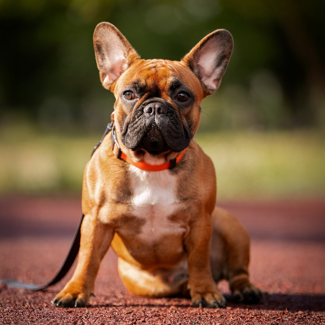Отзывы о фотографе Руслане Насырове из города Павлодар. Портретный фотограф в Павлодаре Руслан Насыров