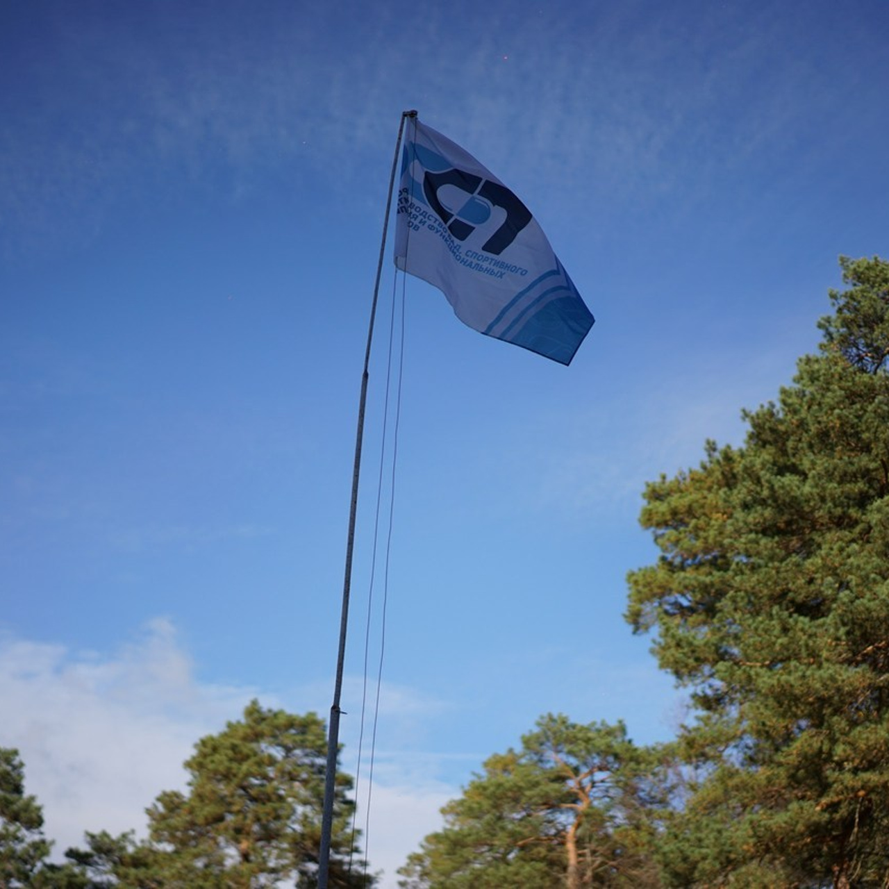 Отзывы. Фотограф и видеограф Смоленск | Студия Цезарь