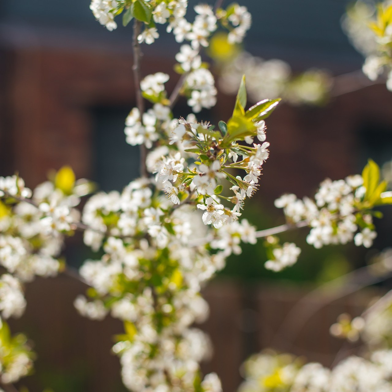 Отзывы клиентов