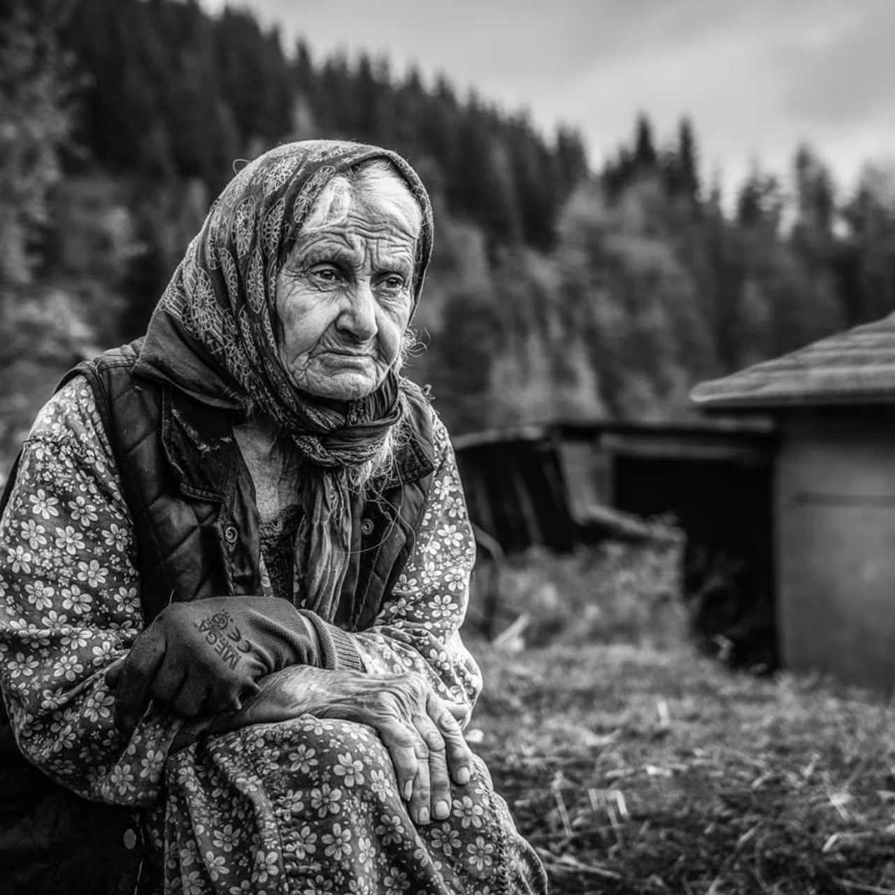 Номинации. Art Portrait