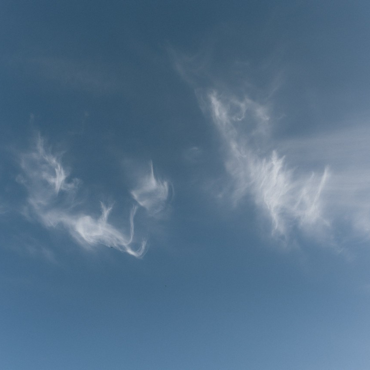 ОТЗЫВЫ. Фотограф Ольга Сапронова. Свадебный фотограф Ольга Сапронова