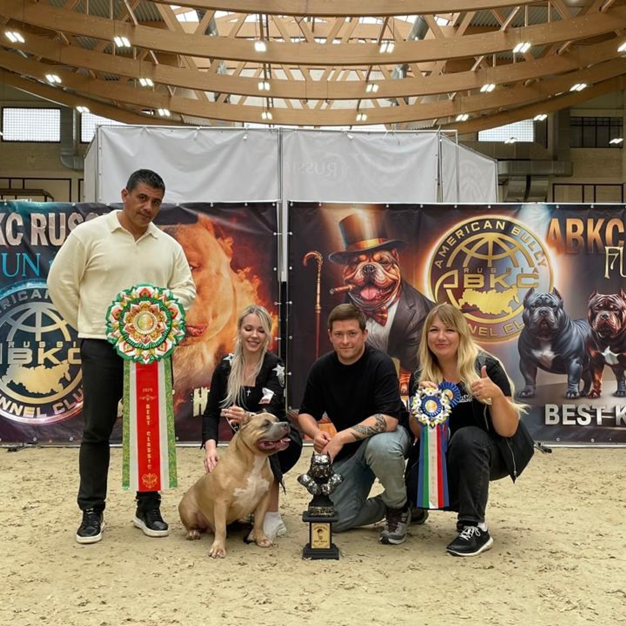 Фотогалерея. SANGRES FRESCA | Питомник американских булли в Московской области