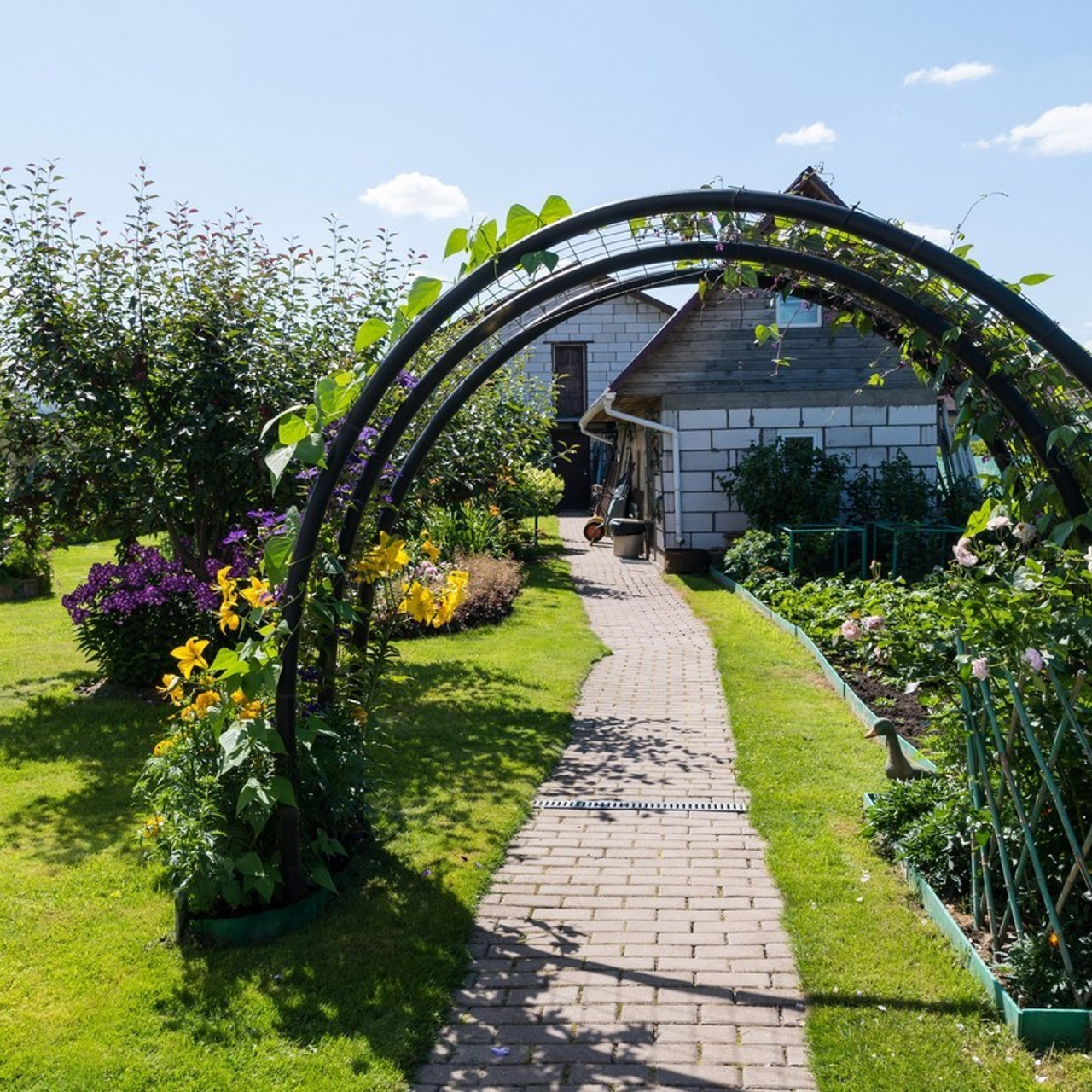 Отзывы на работу фотографа. Семейный и индивидуальный фотограф Life style в Санкт-Петербурге Мария