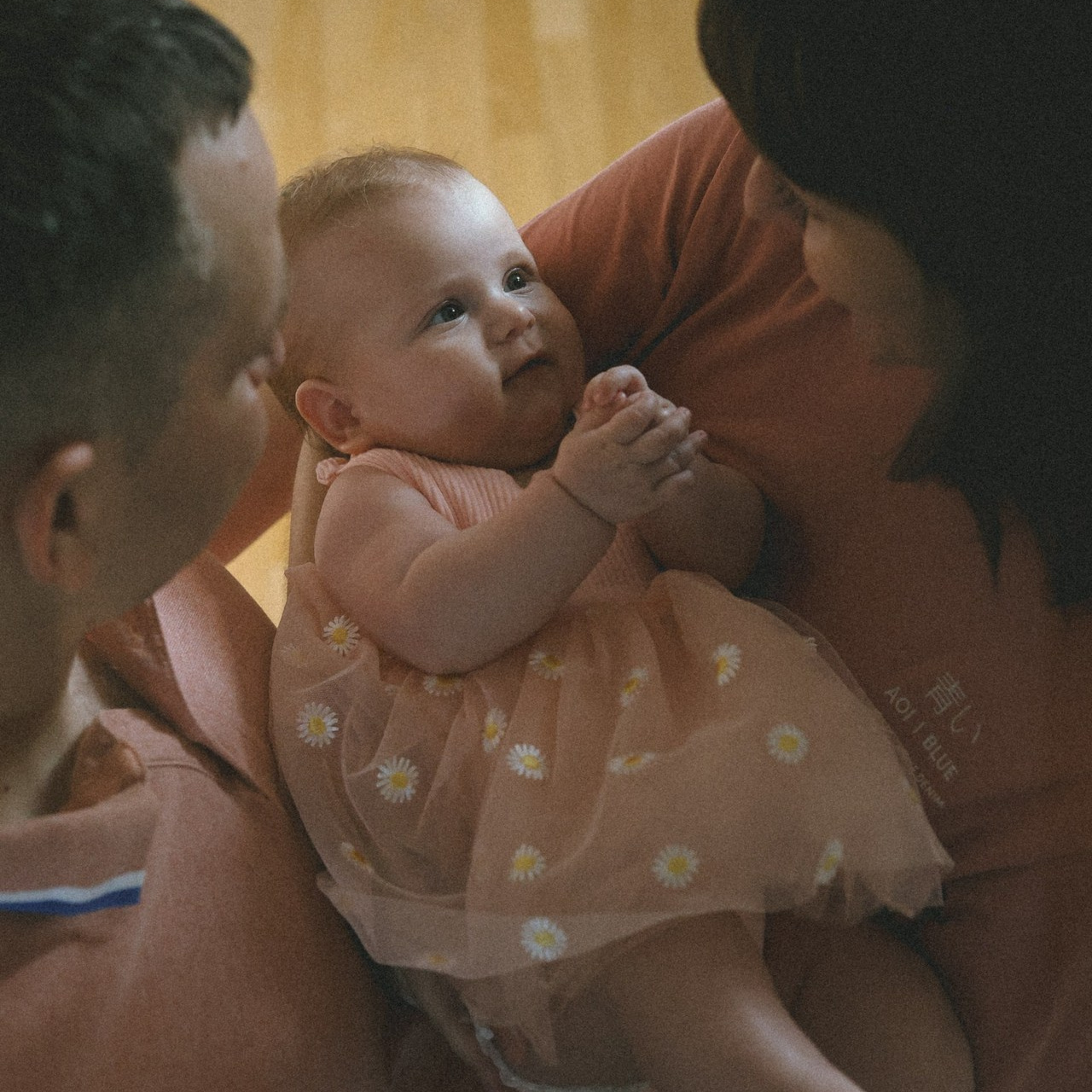 Отзывы. Meryfotoidea