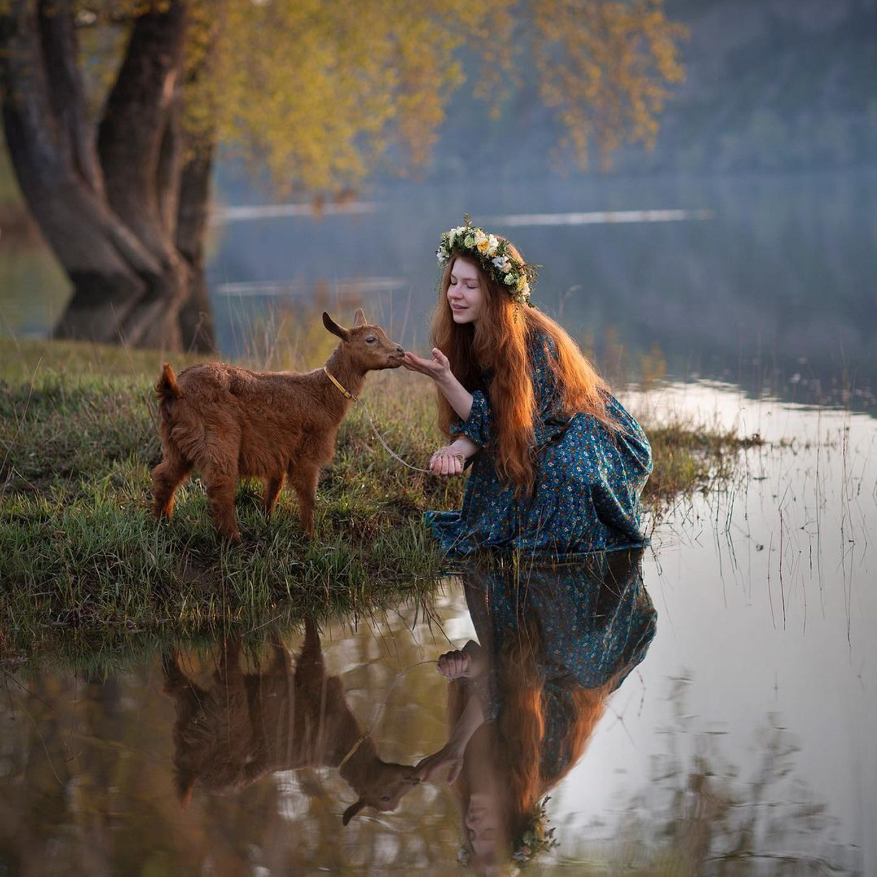 Елена Шумилова