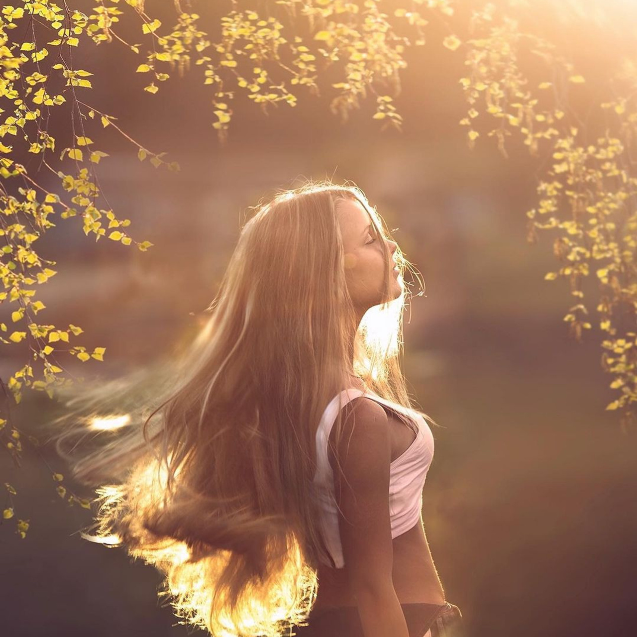 Елена Шумилова