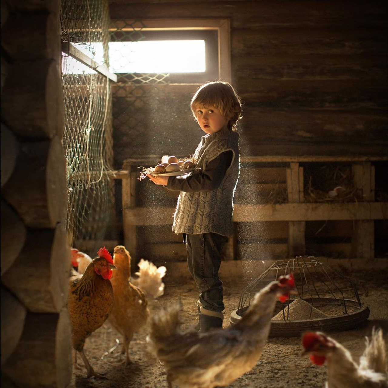 Елена Шумилова