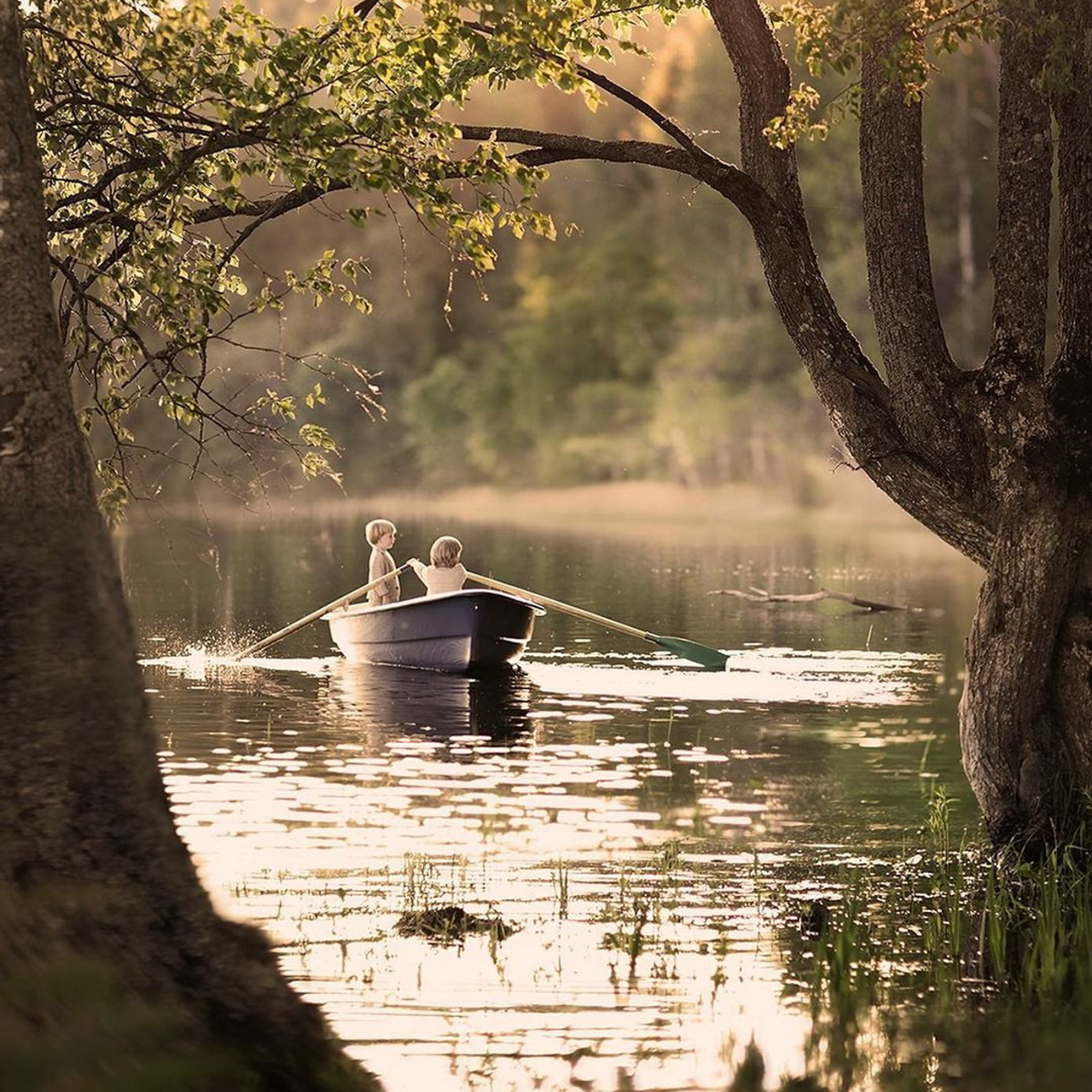 Елена Шумилова