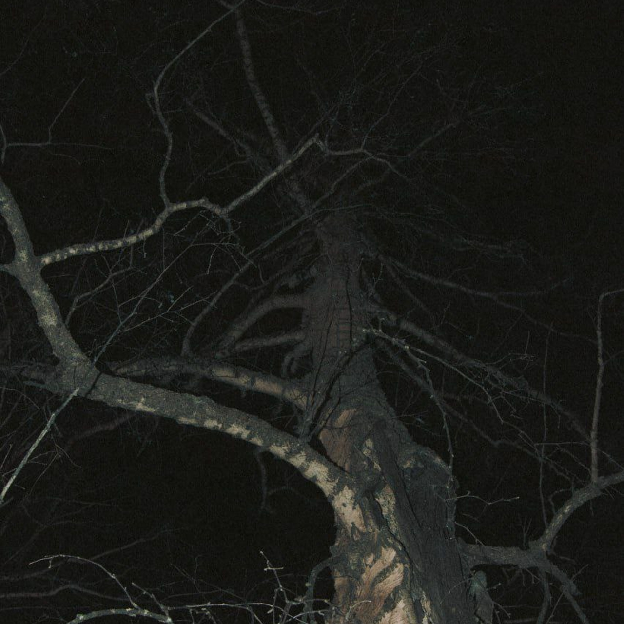 Winter night collection | Tomsk. Концертный фотограф PHBAKHAREV